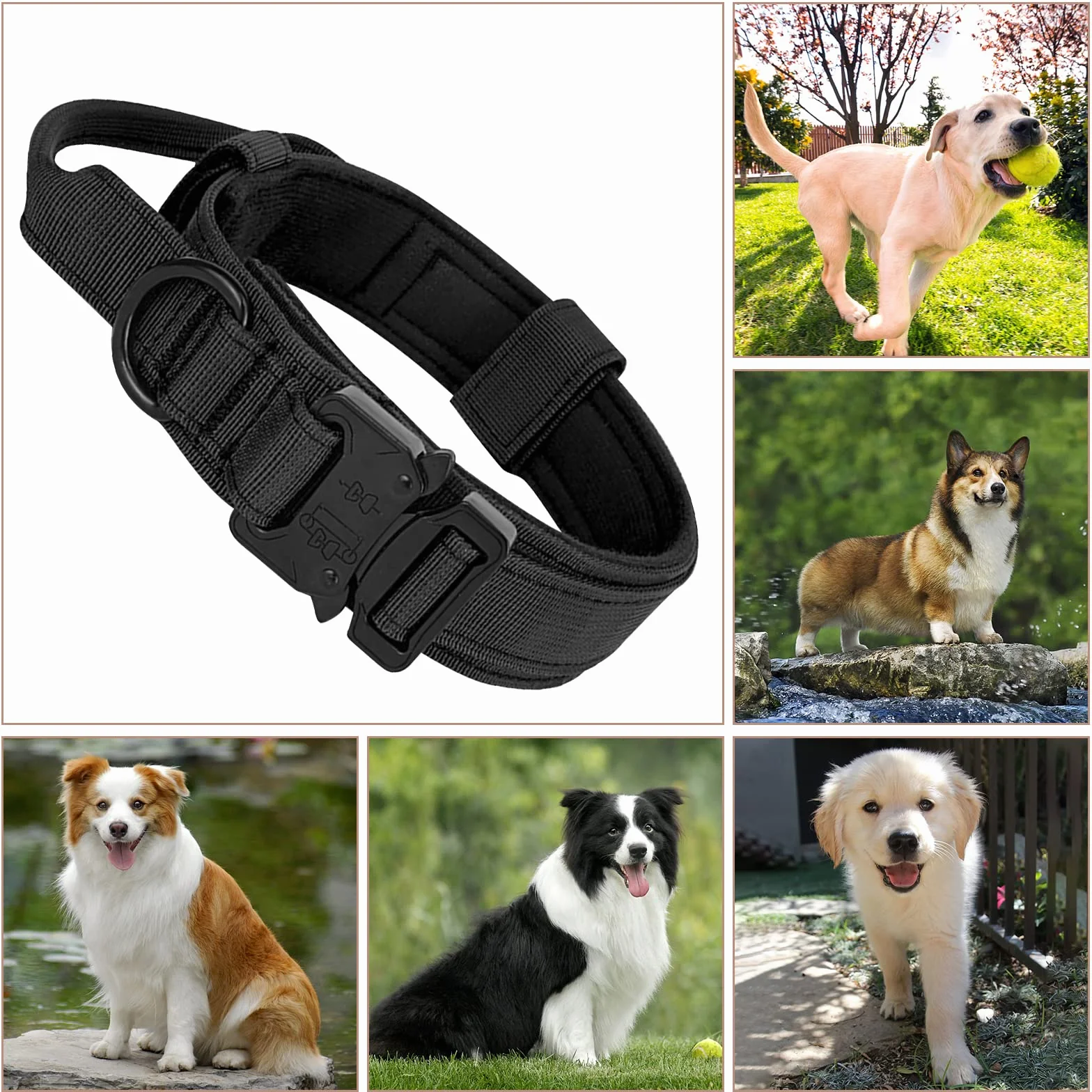 Collare Tattico per Cani Regolabile Con Maniglia di Comando, Militare in Nylon Con Fibbia in Metallo per Cani di Taglia Media e Grande Addestramento (L, Nero)