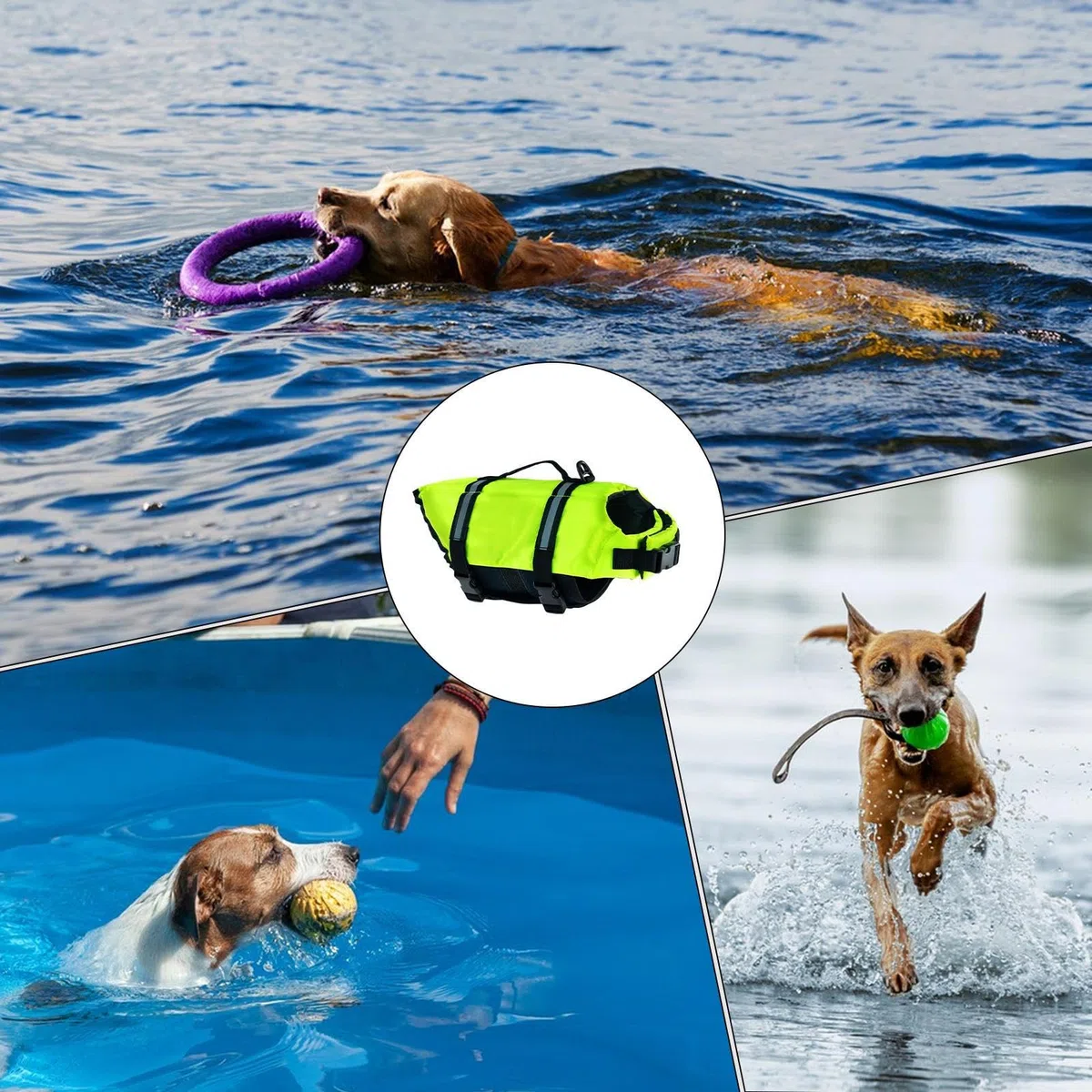 Giubbotto Salvagente per Cani | Giubbotto Salvagente Ad Alta Visibilità per Barche,Vestito da Bagno Regolabile per Cani Taglie Piccola Media Grande Sport Acquatici Lago Spiaggia Kayak