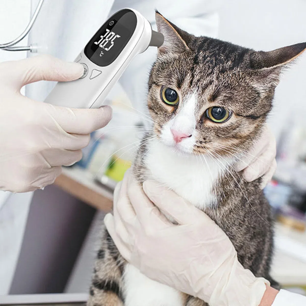 Termometri per animali per gatti, Termometri per orecchie per cani - Forniture tecnologiche per cani | per cuccioli, dispositivo di rilevamento della febbre, forniture per animali domestici