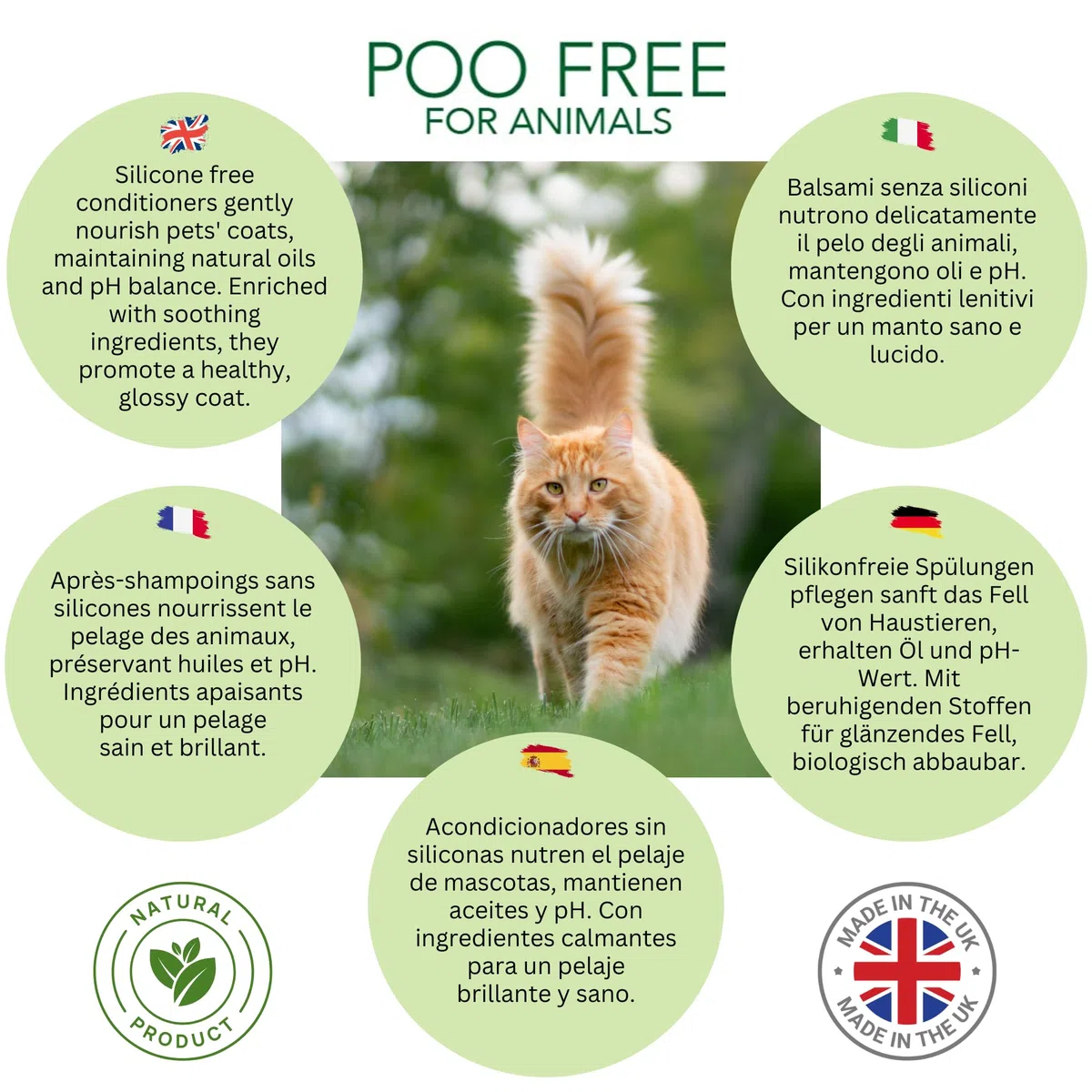 99% Naturale BALSAMO PER GATTI - COCCO & ERBA GATTA - 250ml di POO FREE. Senza Solfati, Senza Parabeni. Allevia il Prurito, Elimina Odori. Per Pelli Sensibili. Concentrato