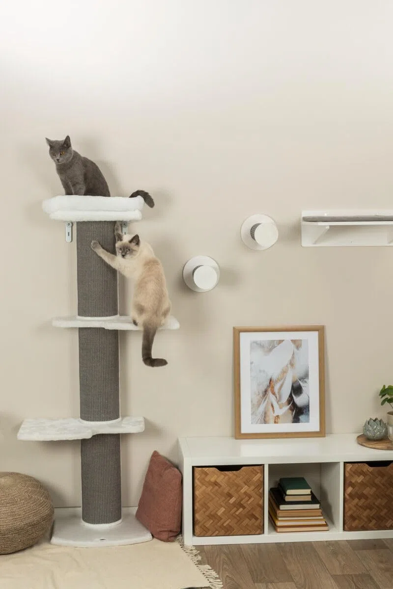 Trixie montato a parete da arrampicata passo per gatti
