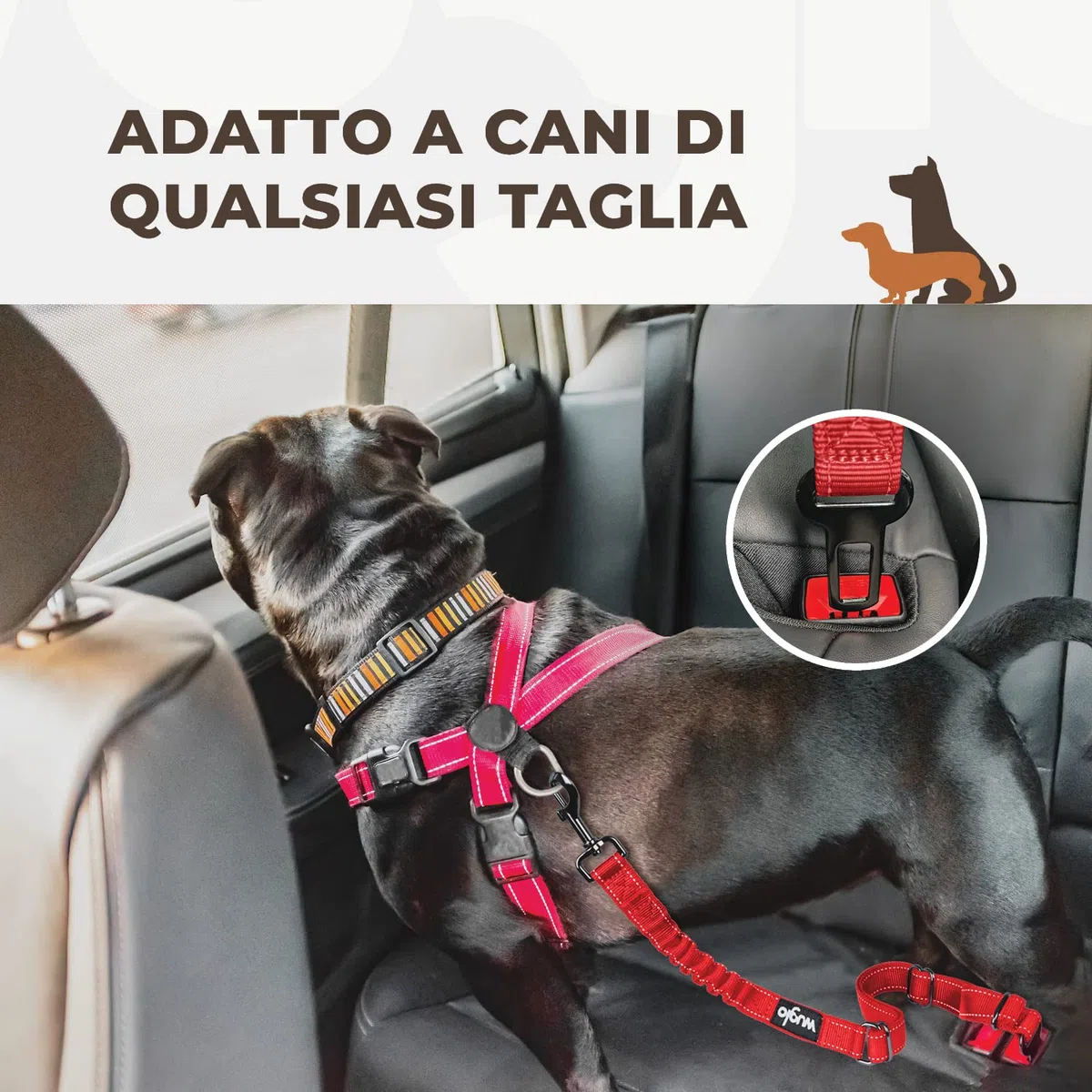 Wuglo Cintura per Cani Auto Regolabile 30-95 cm con Fibbia in Acciaio Inossidabile e Cintura Elastica (Rosso)