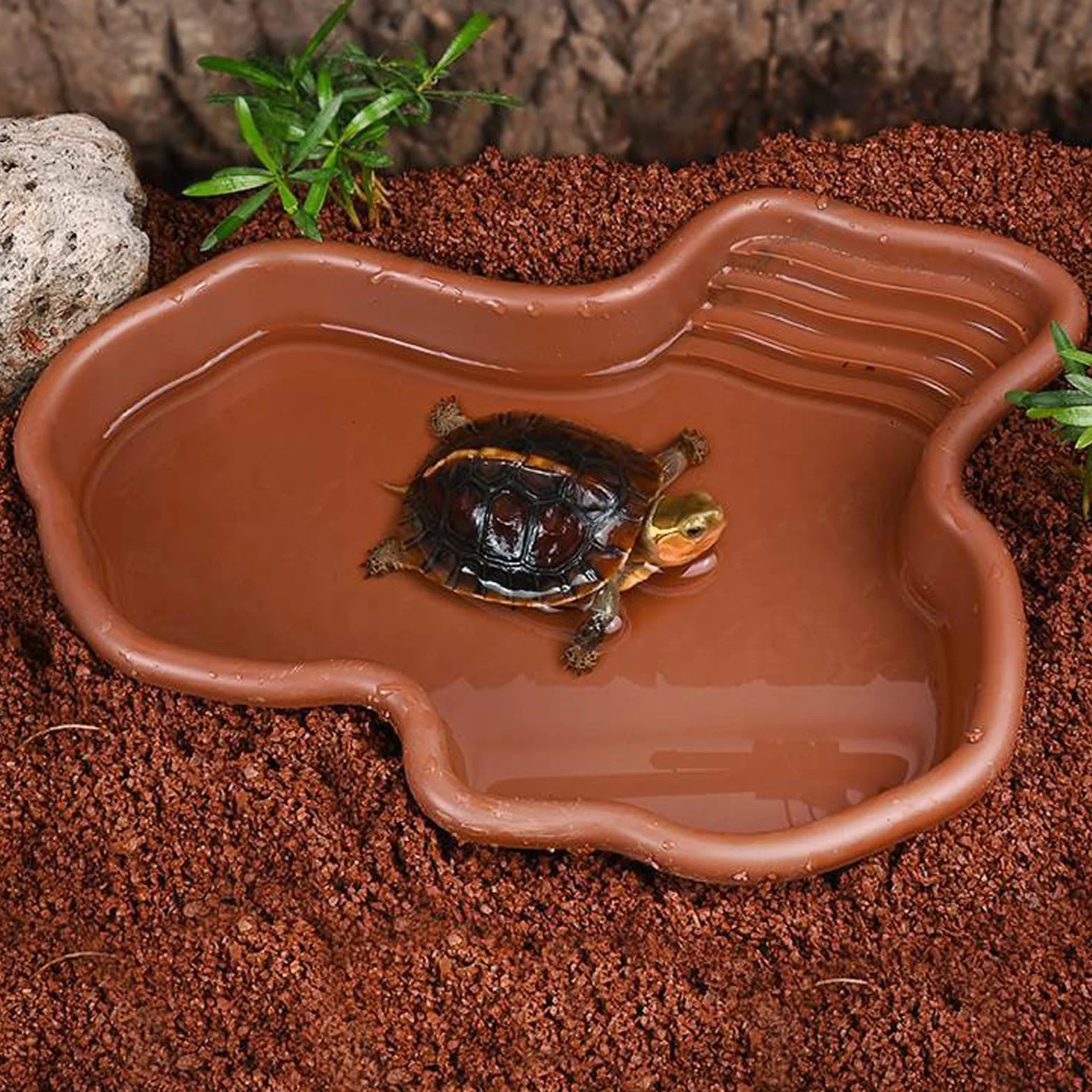 Vasca da bagno per rettili Piscina per Rettili Grande Piscina per Tartaruga Terrestre con Assorbitore d'acqua Manuale per Rettili Come Tartarughe, Lucertole, Serpenti