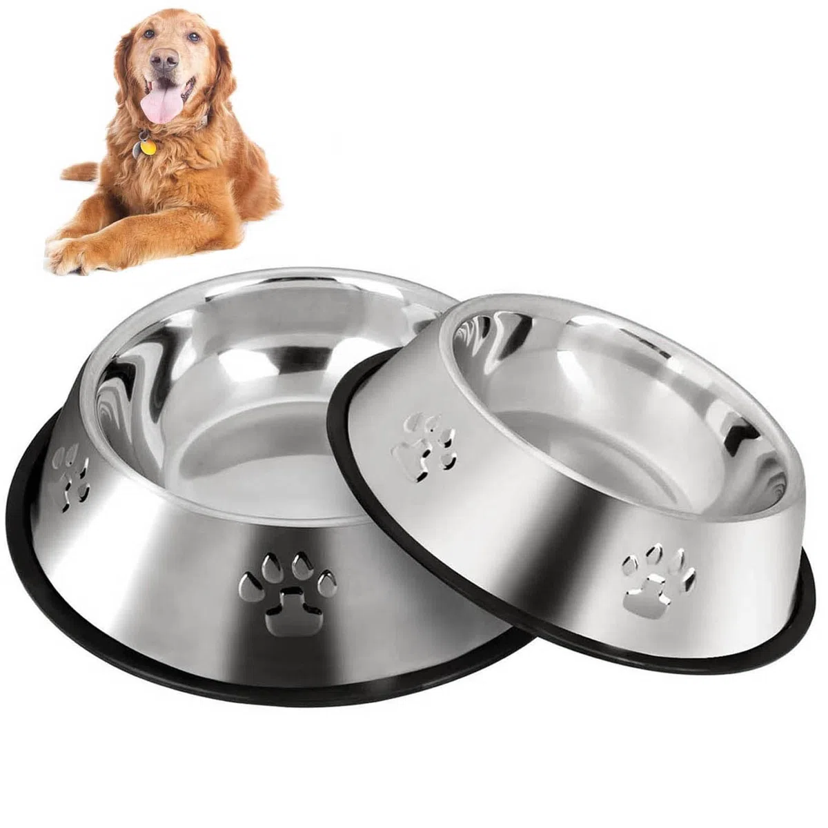 Ciotole per Cani in Acciaio Inox - Base in Gomma Antiscivolo, Ciotola Media e Grande per Animali Domestici, per Cibo e Acqua (M, 22 cm)