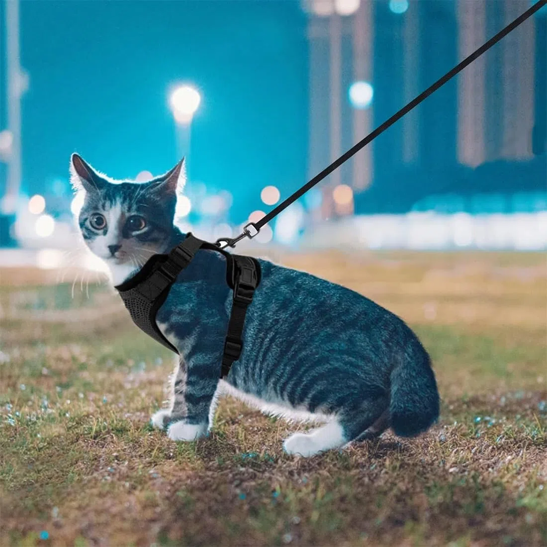 Pettorina Regolabile per Gatti e Cuccioli, Guinzaglio per Auto, Imbracatura per Cani Piccoli, Maglia Traspirante (XS, Nero)