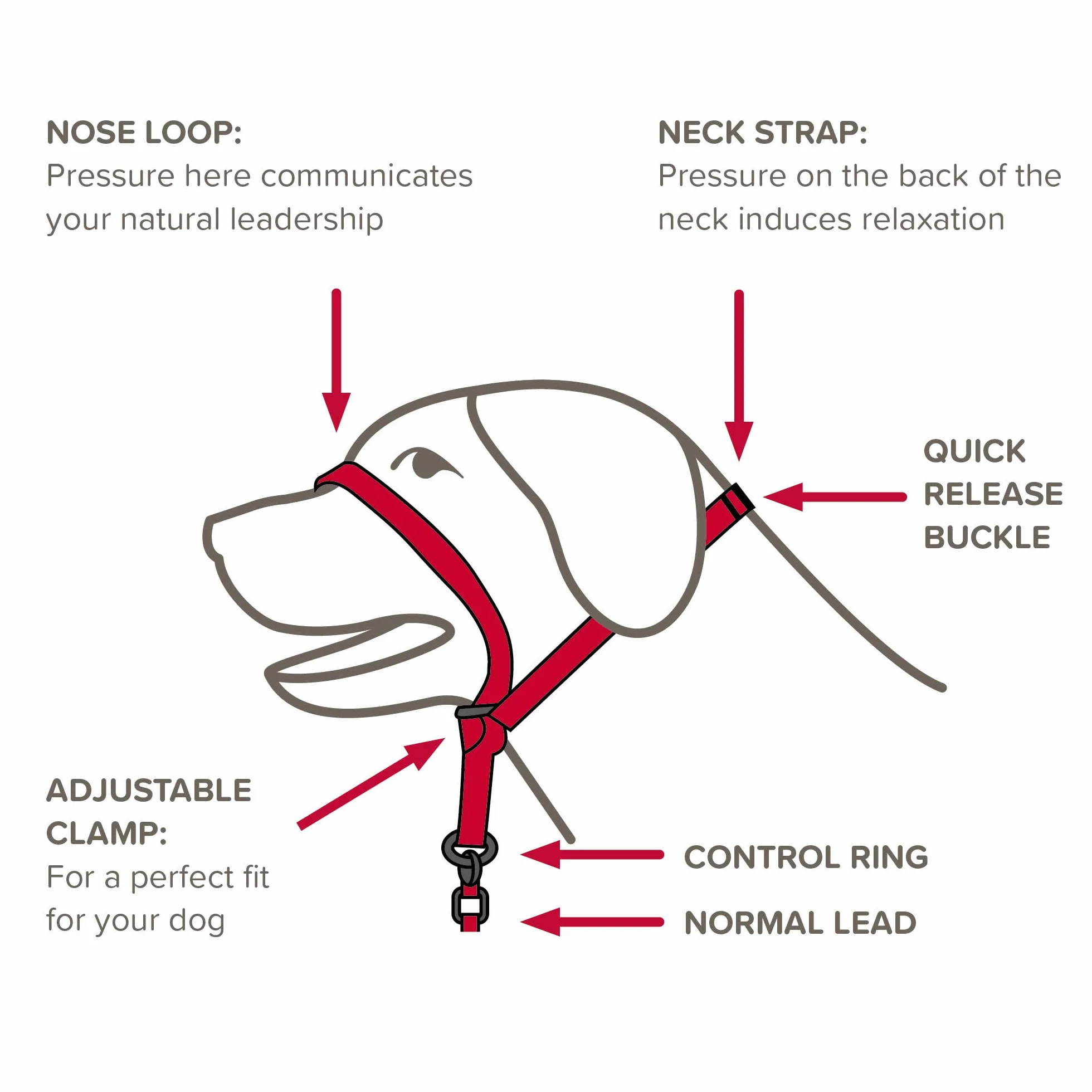 Beaphar, Gentle Leader, Collare per Cani, Misura M, Rosso
