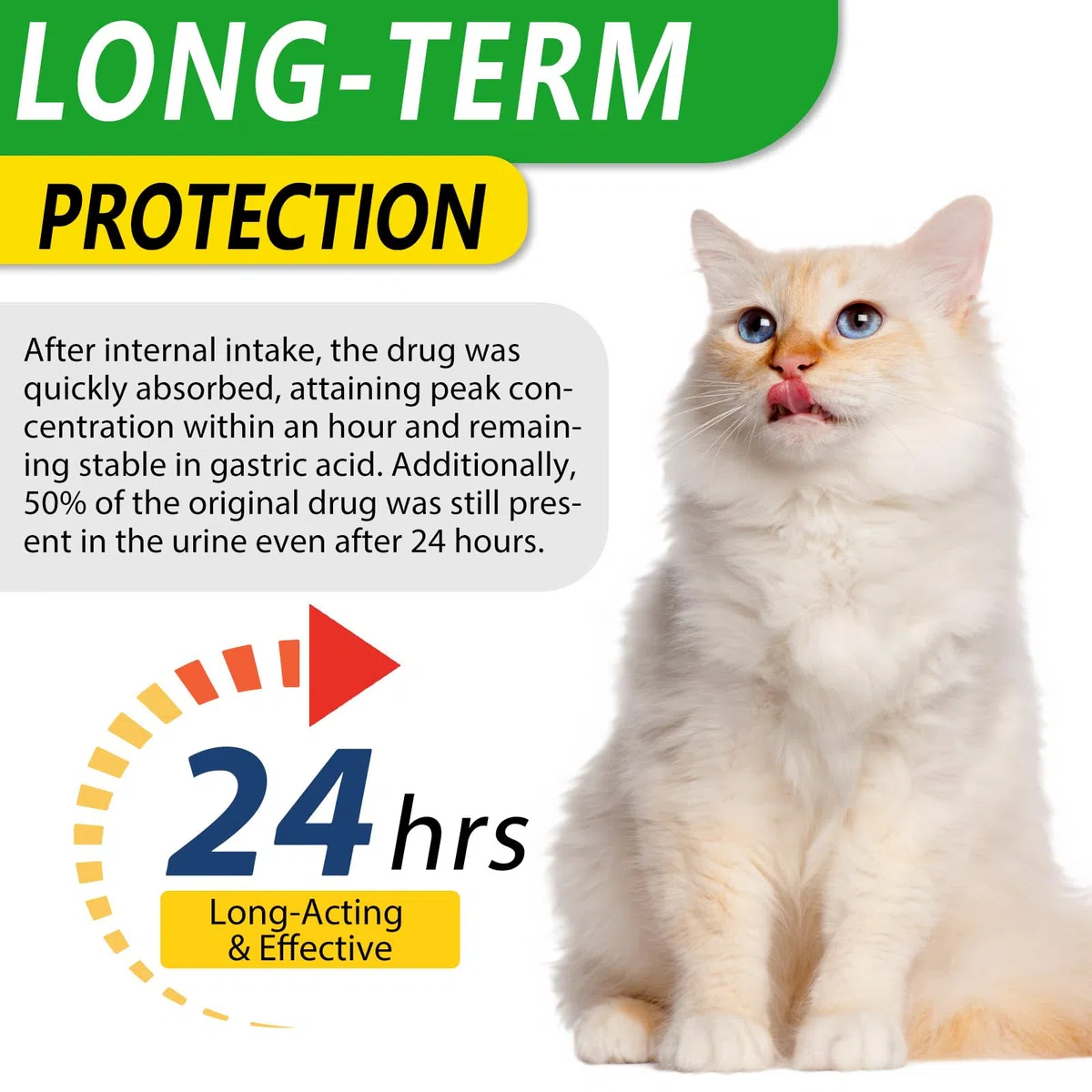 Antibiotici Per Gatti Per Infezioni, Supporto Alle Difese Immunitarie E Alle Allergie Dei Gatti, Sollievo Dal Prurito, 60ml