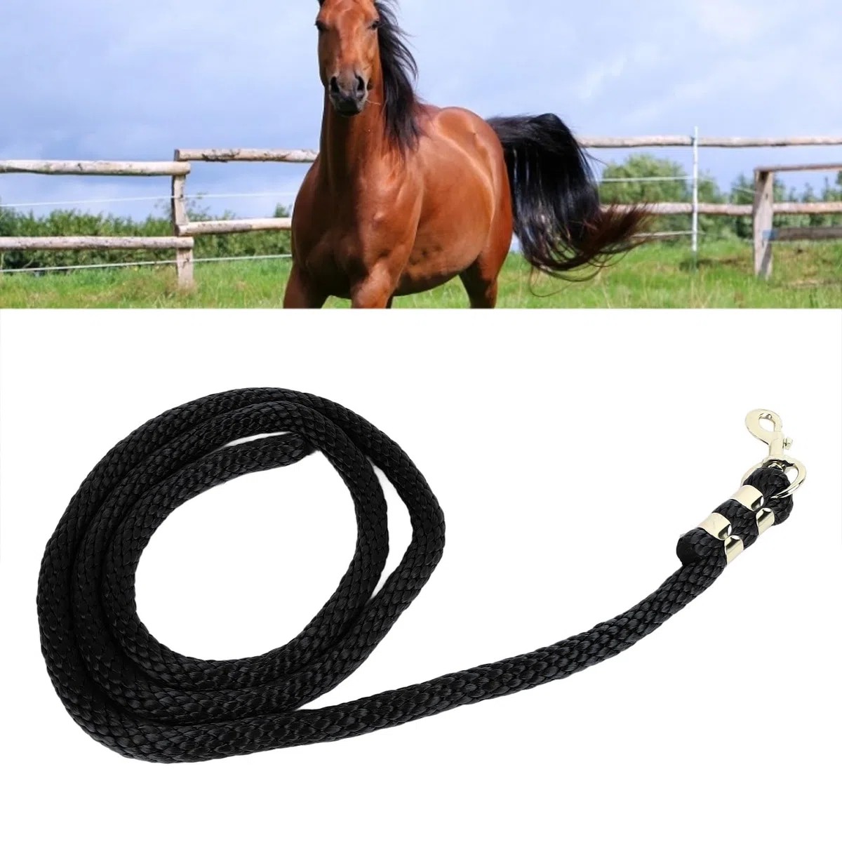 Corda per Addestramento Cavalli e Cani, Lunghezza 2 Metri, Linea di Lunging Rinforzata con Gancio, Impugnatura Confortevole, Nero