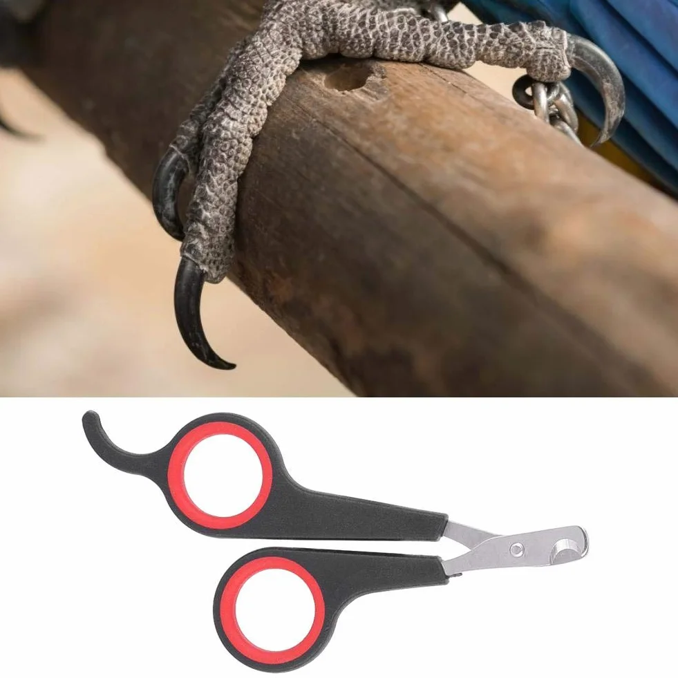 GOTOTOP Tagliaunghie per animali di piccola taglia, tagliaunghie e tagliaunghie strumento per toelettatura per uccelli, pappagalli, gattini, conigli