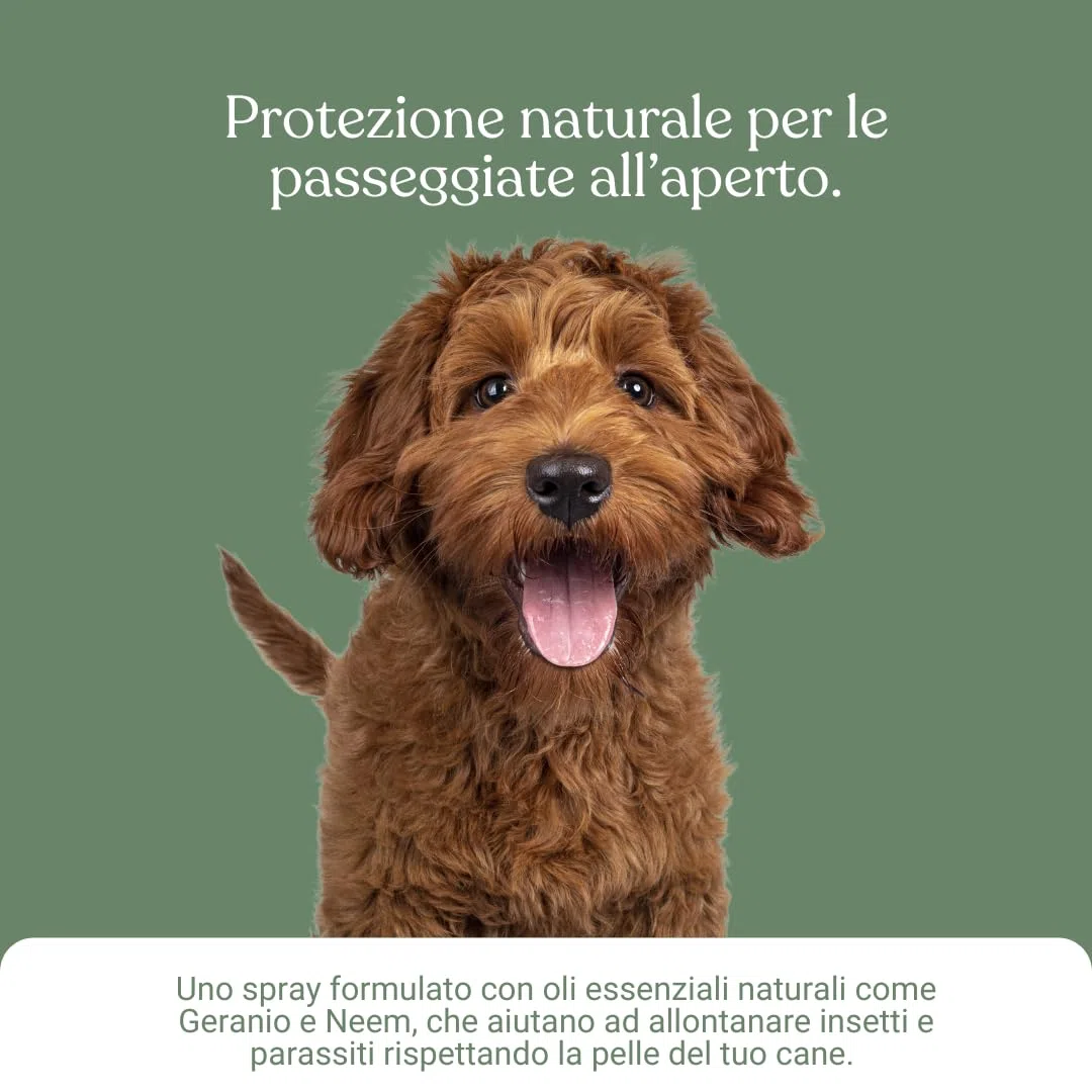 Bau Repellente Spray Zanzare, Pulci e Zecche per Cani Naturale con Olio di Neem, Repellente Zecche Spray, Antiparassitario Cani Naturale, Antizanzare per Cani con Oli Essenziali Citronella e Geranio