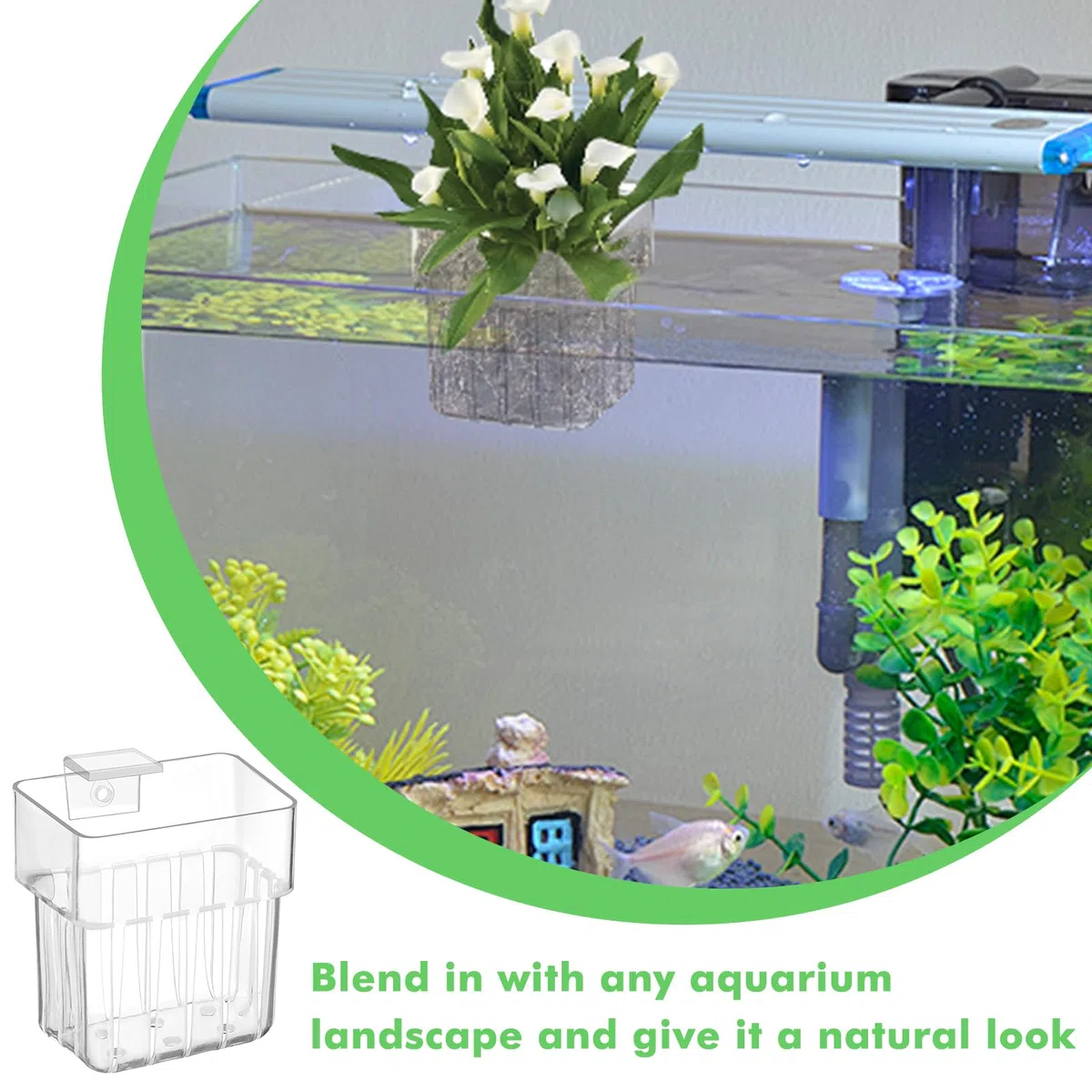 6 supporti per piante per acquario in acrilico: vasi da appendere decorativi con ventose, sistema di coltivazione per decorazione acquatica mini bacino | design moderno e pratico