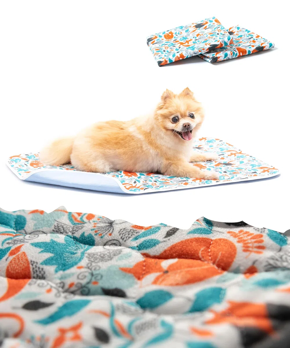 2x Tappetini igienici deluxe lavabili per cani piccoli - Assorbono il Doppio - Traversine assorbenti per cani riutilizzabili e impermeabili per cuccioli - Antiscivolo e Anti Odore 70x50cm