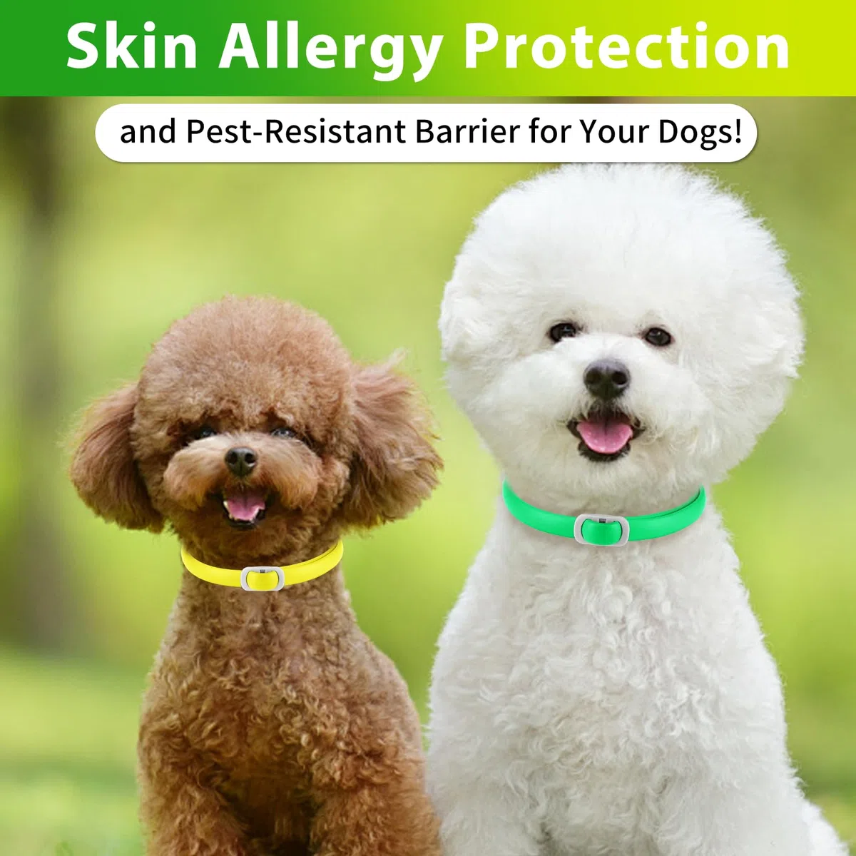 Collare per cani 4 pezzi, dog flea collar, regolabile e impermeabile, sicuro e naturale, lunghezza 60 cm, protezione 24 mesi, per tutti i cani