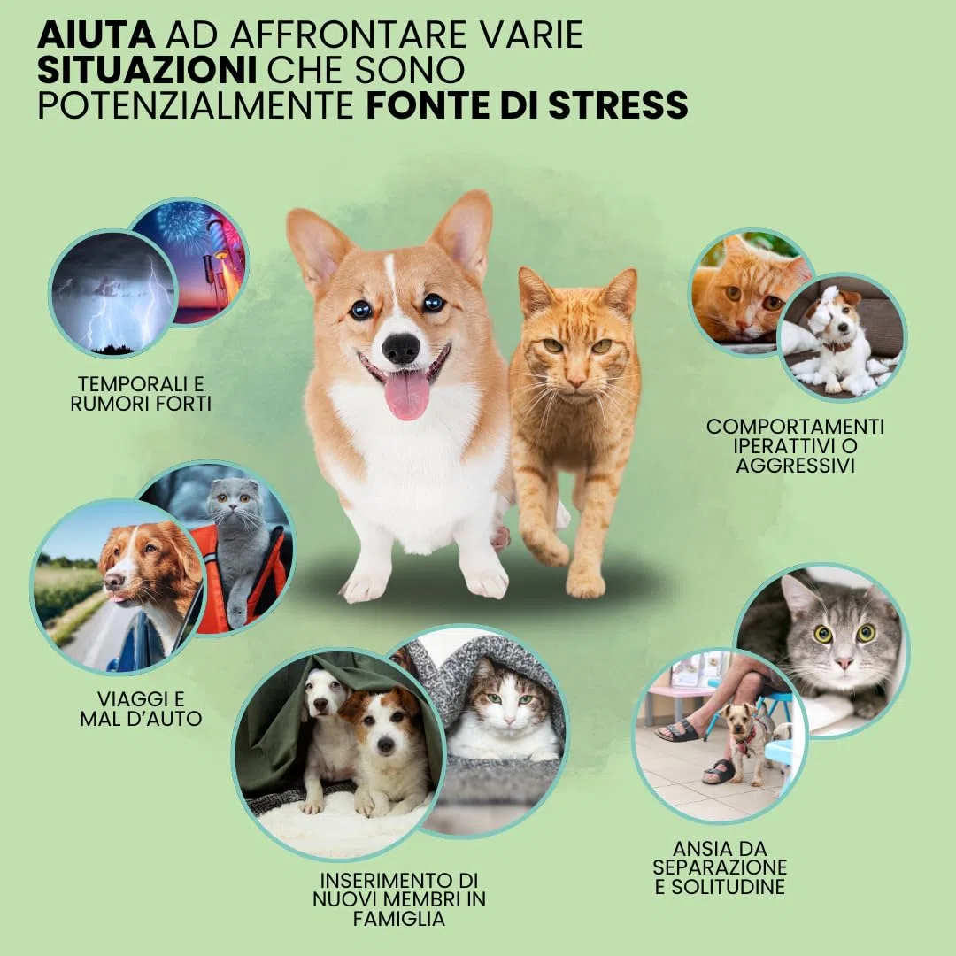CAMON | AEquilibriAVet Alimento Complementare per Cani e Gatti con Melissa, Valeriana, Zenzero e Triptofano, Azione Calmante e Rilassante, 60 Compresse da 1gr