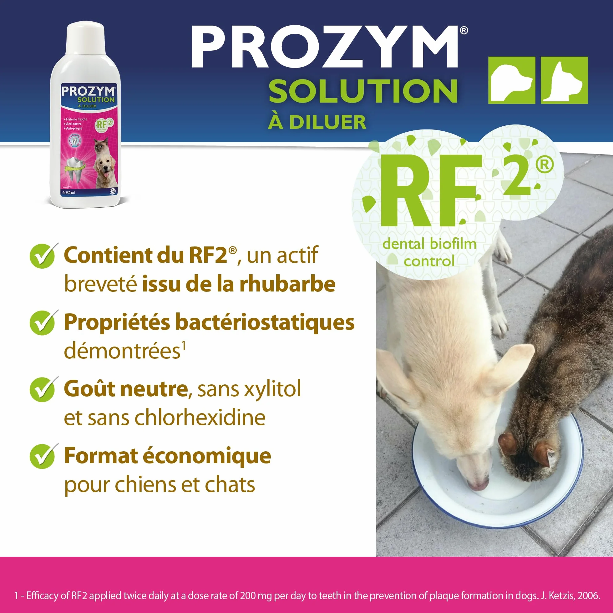 Prozym - Soluzione dentale diluente per cani e gatti - N. 1 nei veterinari - Alito fresco - Anti-tartaro - Anti-placca - Gengive sane