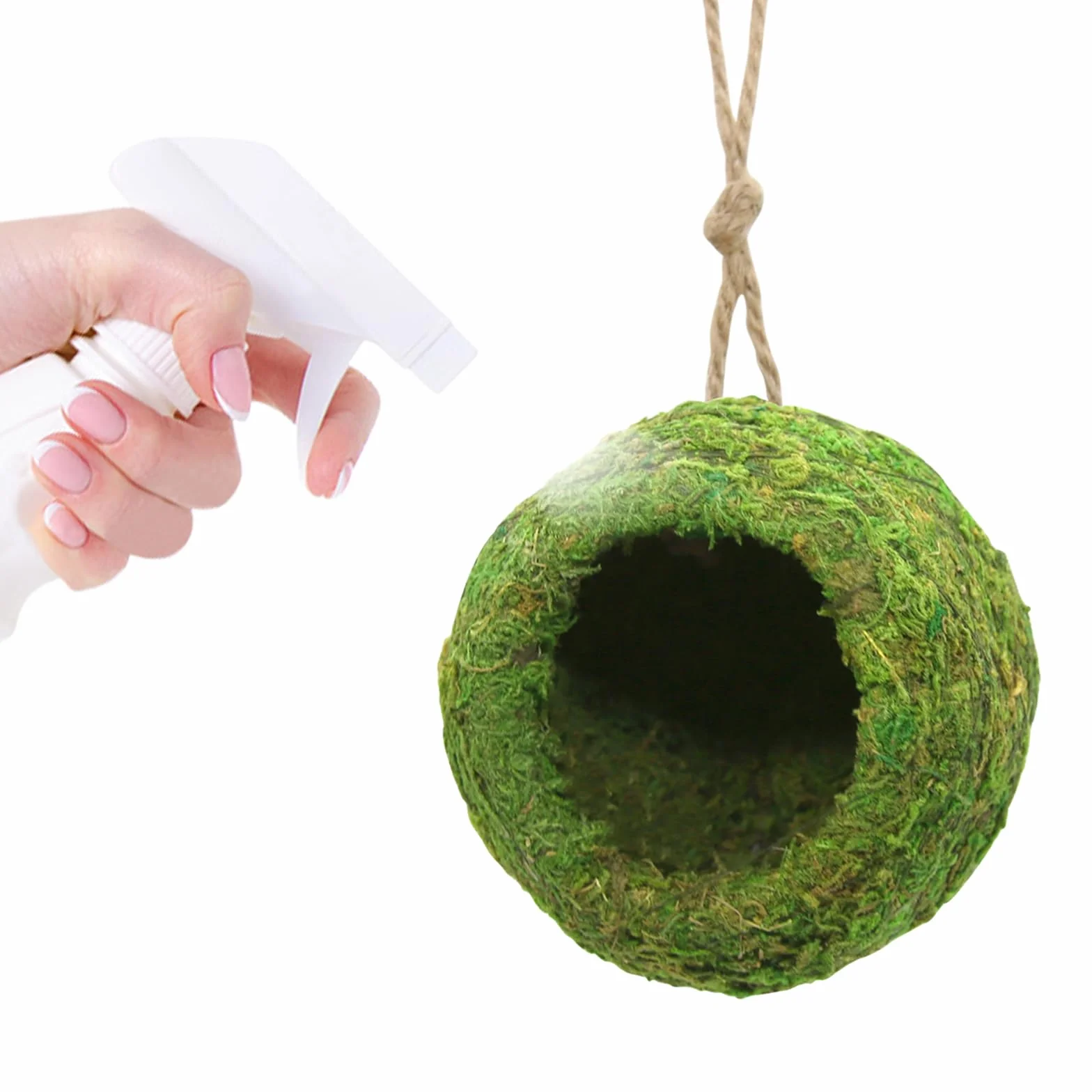 1 pezzo Accessorio per terrario per geco crestato fatto a mano, nascondiglio per rettili, amaca naturale sospesa, per accessori per terrario per geco crestato, drago barbuto grotto