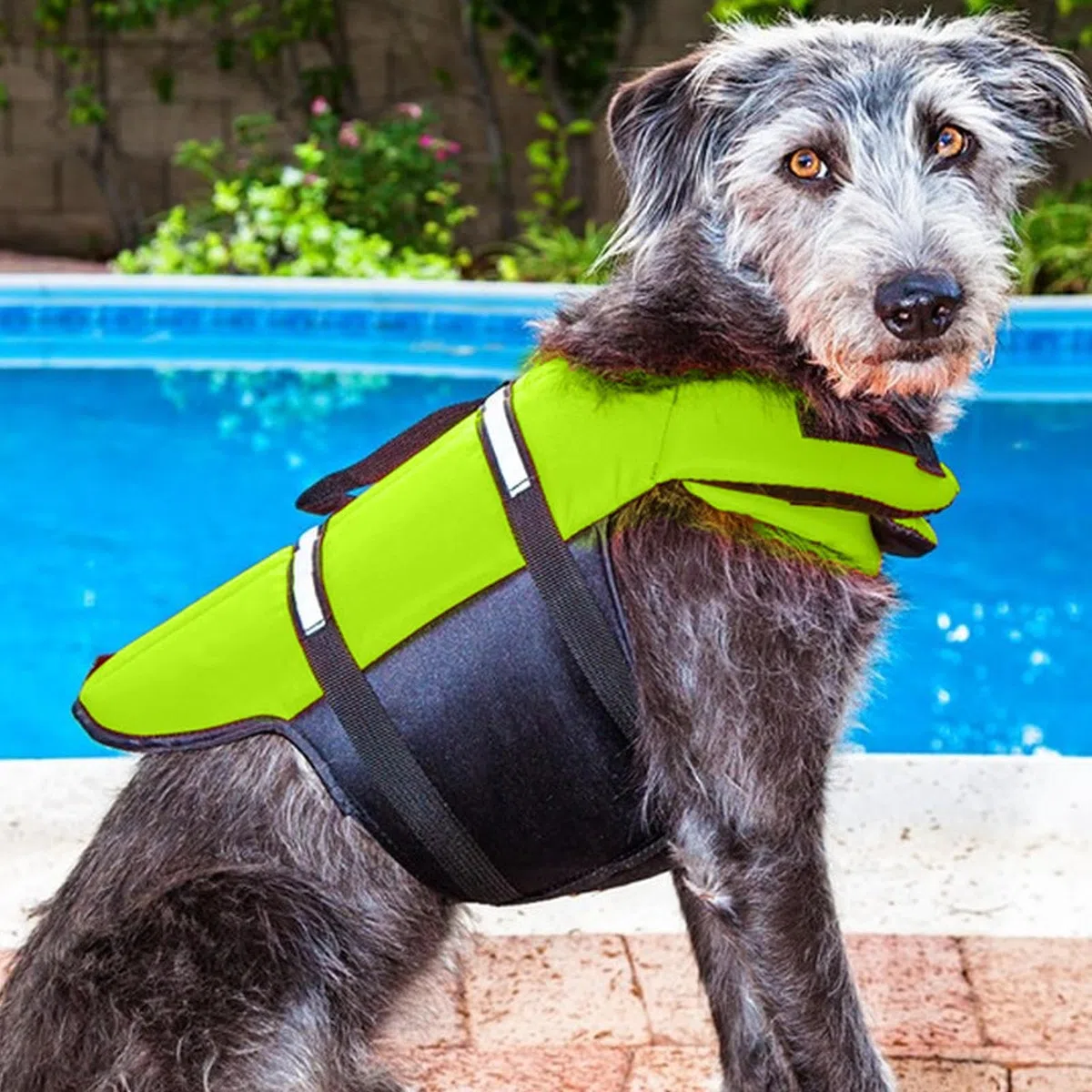 Giubbotto Salvagente per Cani | Giubbotto Salvagente Ad Alta Visibilità per Barche,Vestito da Bagno Regolabile per Cani Taglie Piccola Media Grande Sport Acquatici Lago Spiaggia Kayak