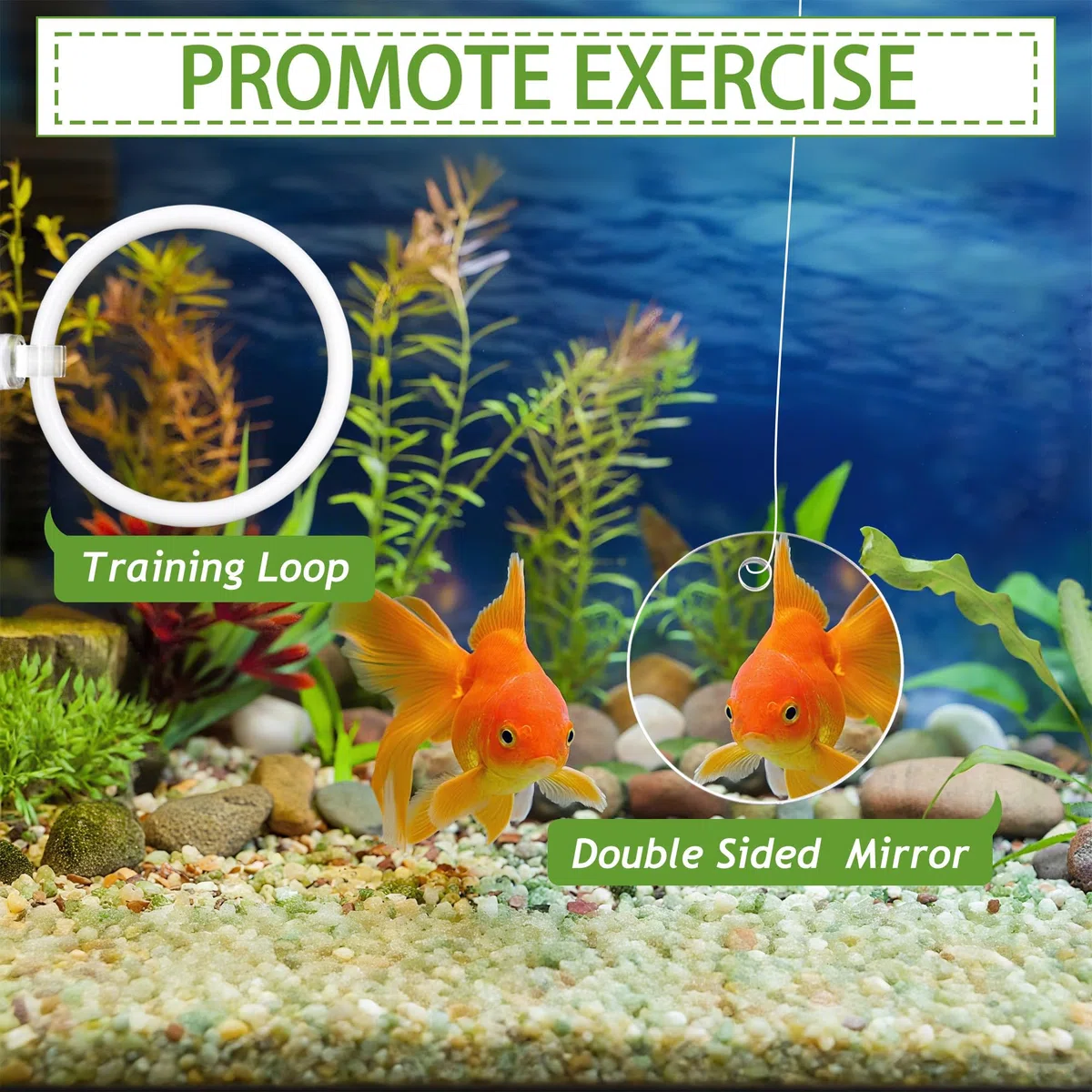 Betta Toys per acquario con specchio Betta, 4 anelli per l'alimentazione dei pesci per piccoli acquari, giocattoli per l'addestramento dei pesci, l'esercizio fisico, l'arricchimento delle tartarughe