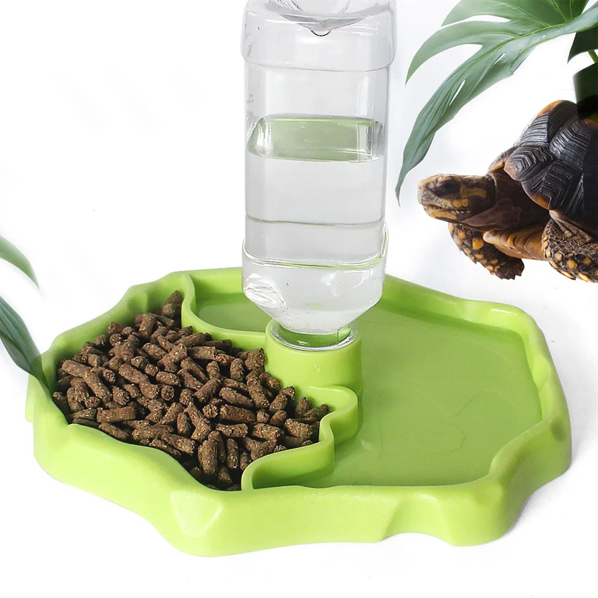 Abbeveratoio Automatico Rettili, Serbatoio Acqua Rettili, Abeveratoio Lucertola, per Tartaruga, Lucertola, Criceto, Serpente