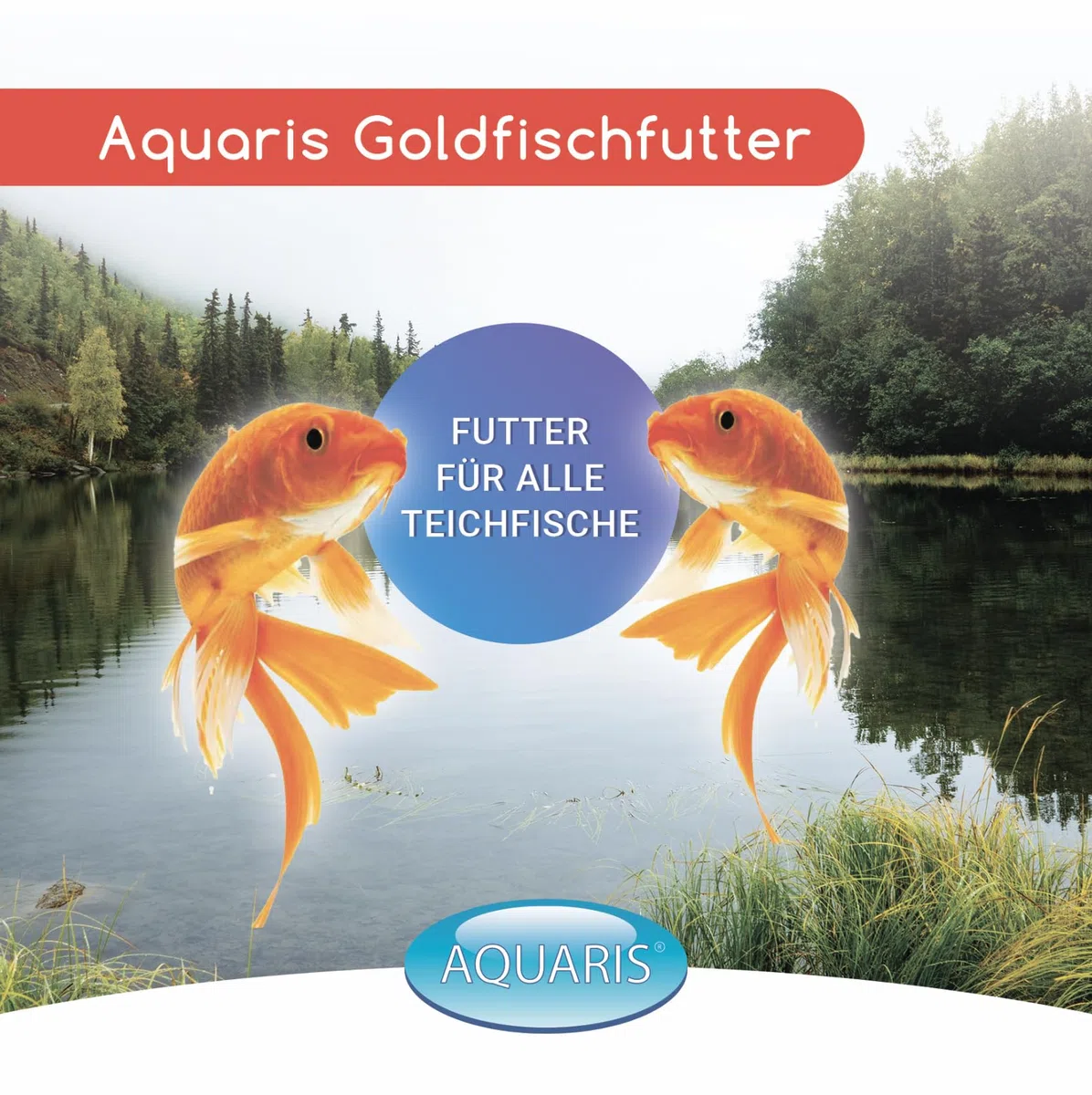 AQUARIS Mangime per pesci rossi – Mangime completo premium da laghetto, shubunkin e altri pesci dai colori intensi 1 kg / 3 mm