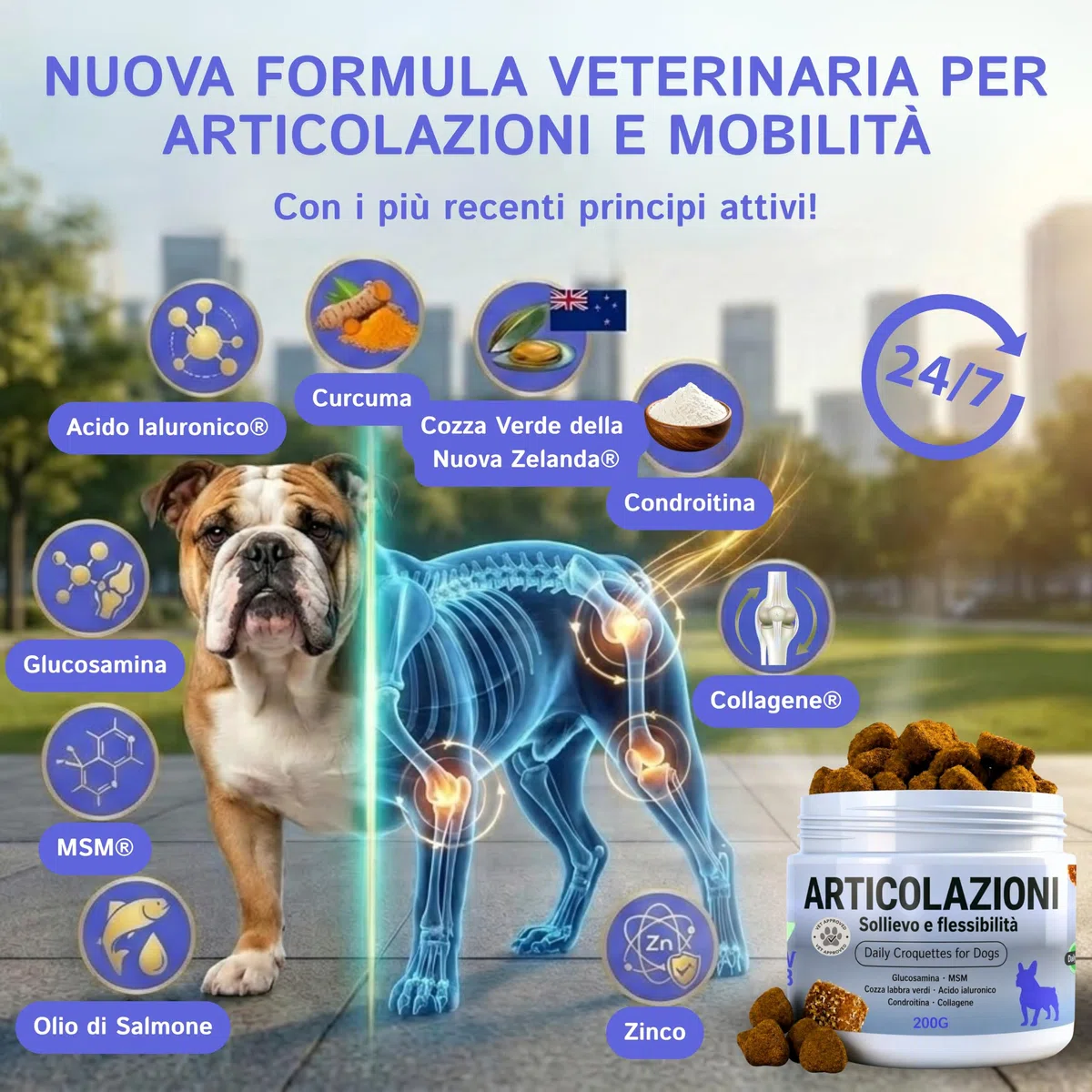 Condroprotettore Per Cani Prodotto In Europa 200 Soft Chews Integratore 100% Naturale Curcuma Acido Ialuronico Cozza Verde MSM Glucosamina Condroitina Salmone Collagene | Supporto Articolazioni Cane