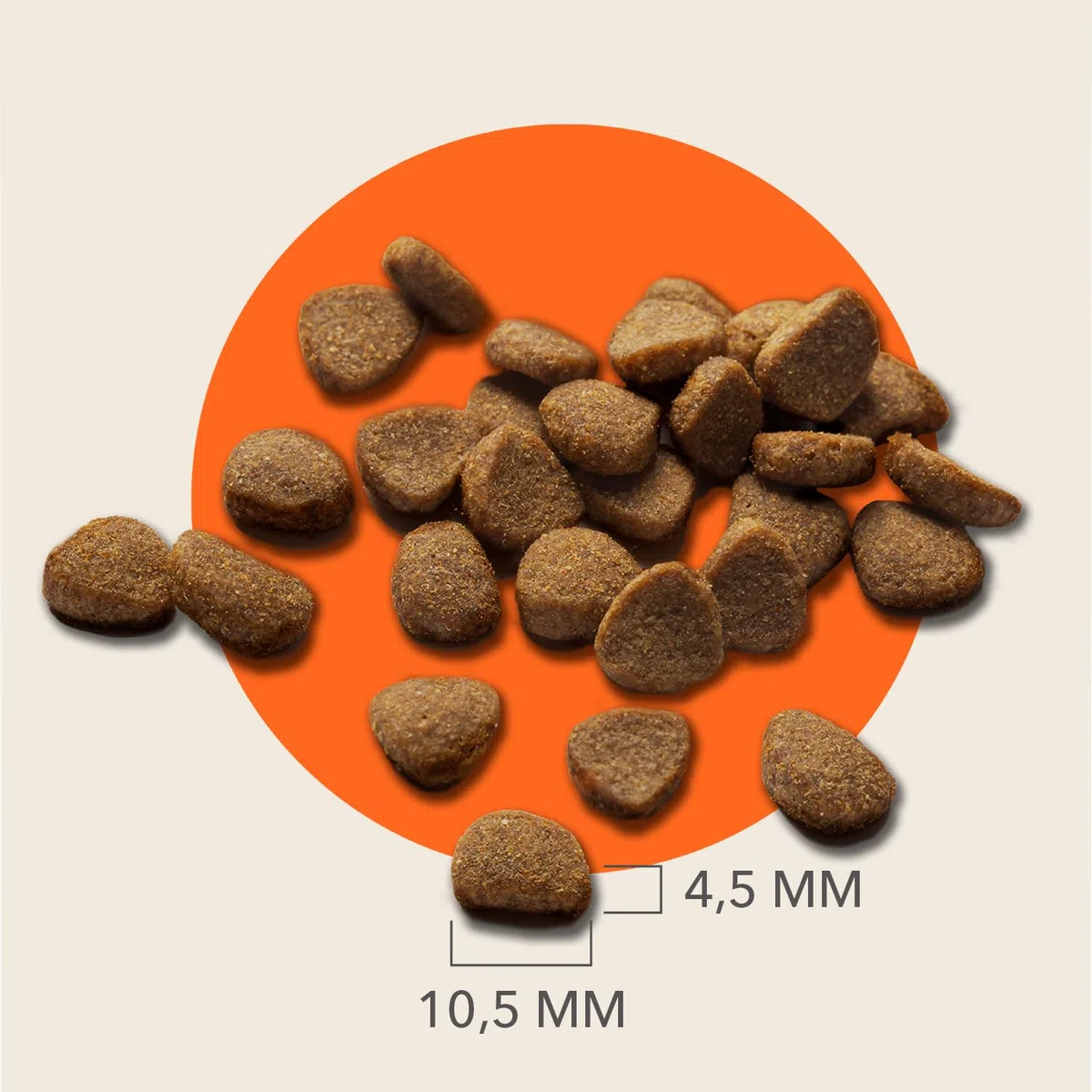 IAMS Cibo per gatti senza cereali con pollo - Alimenti secco per gatti adulti da 1 anno, 2,5 kg