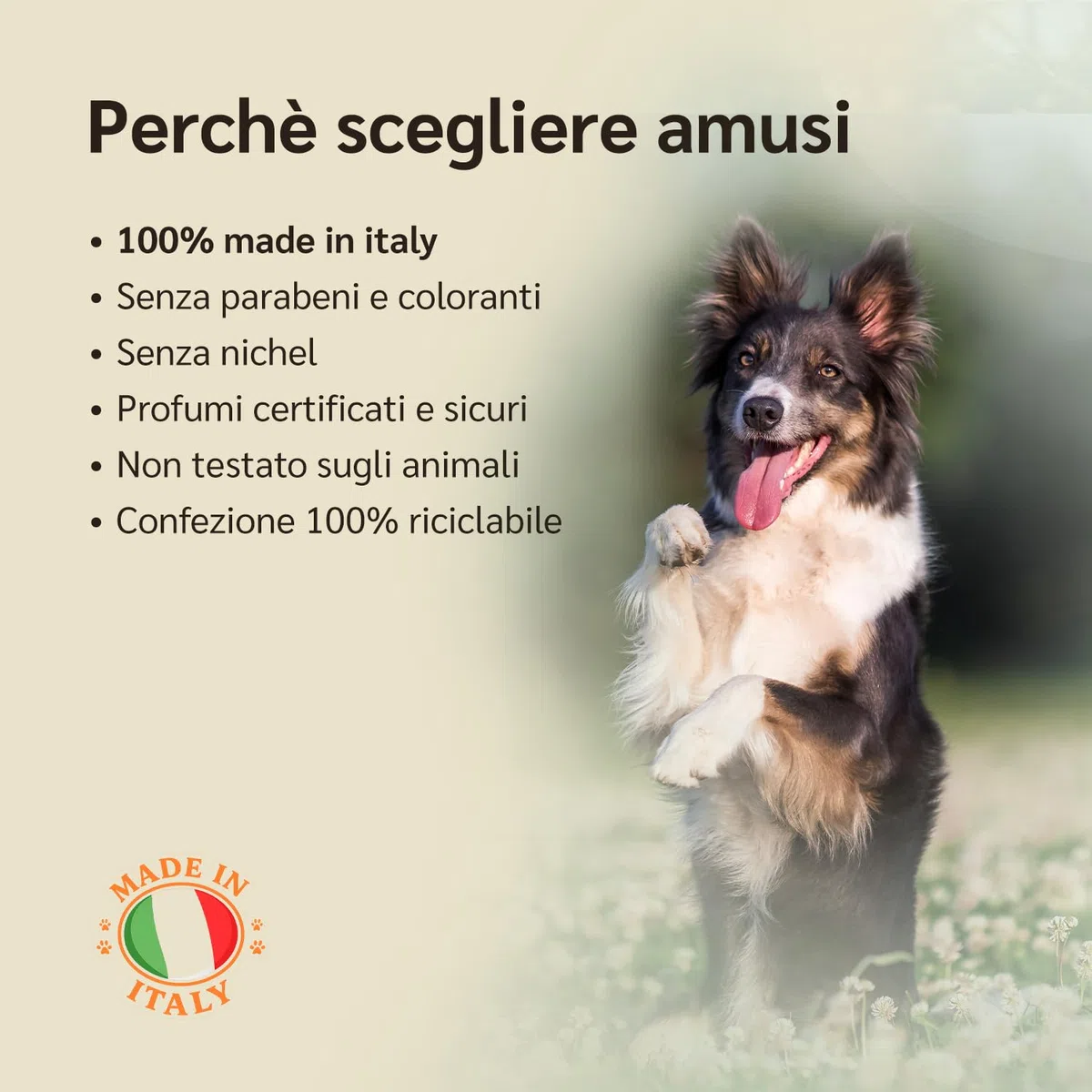 amusi Probiotici per Cani 30 Compresse con Fermenti Lattici Probiotici e Inulina – Mangime Complementare - Supporto per Intestino e Flora Intestinale, Aiuta la Digestione e l’Equilibrio intestinale