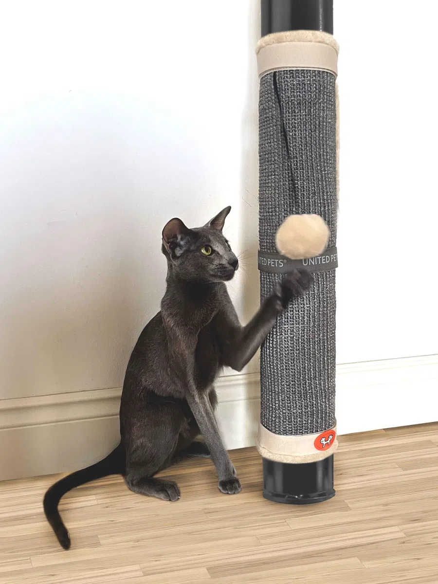 UNITED PETS Cat Scratcher Tiragraffi per Gatti, di Design, Gioco Tiragraffi per Gambe del Tavolo con Pallina Grigio Tortora e Beige
