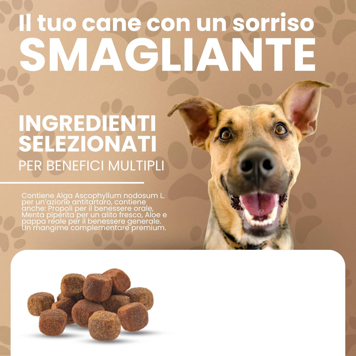 DBLabo Antitartaro per Cani 200g, Polvere Denti Cane con Alga Ascophyllum, Propoli e Menta, Controllo Placca, Sciogli Tartaro Cane in Polvere, Integratore Denti e Gengive con Alito Fresco