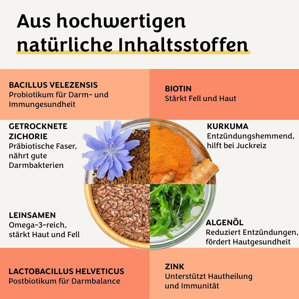 Belly Biotics: Probiotici Avanzati 3-in-1 per Cani che si Leccano Troppo le Zampe, Prurito e Digestione - Formula con 1 MLD di CFU - No Prurito e Feci Molli - 120 Snack Naturali (120 dolcetti)