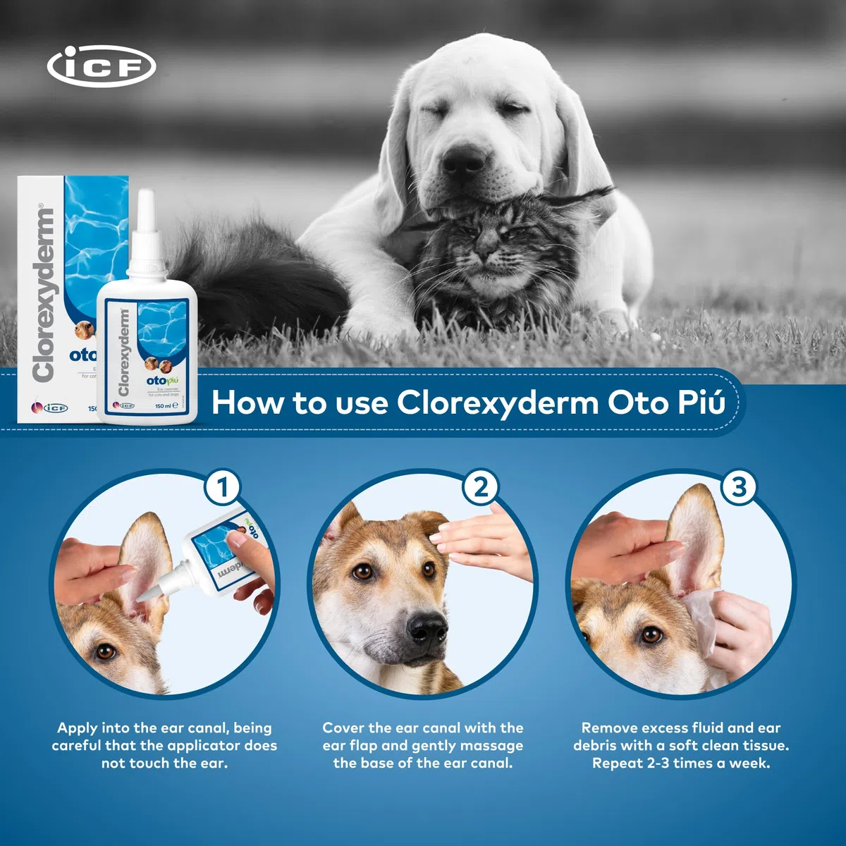 Clorexyderm Oto Più 150 Millilitri – Soluzione Potenziata per la Pulizia delle Orecchie di Cani e Gatti – Igiene Profonda in Caso di Sporco Persistente