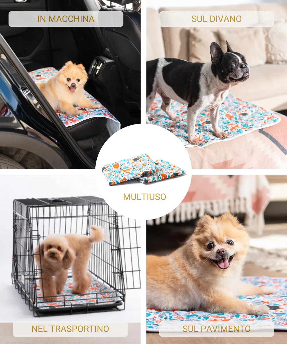 2x Tappetini igienici deluxe lavabili per cani piccoli - Assorbono il Doppio - Traversine assorbenti per cani riutilizzabili e impermeabili per cuccioli - Antiscivolo e Anti Odore 70x50cm