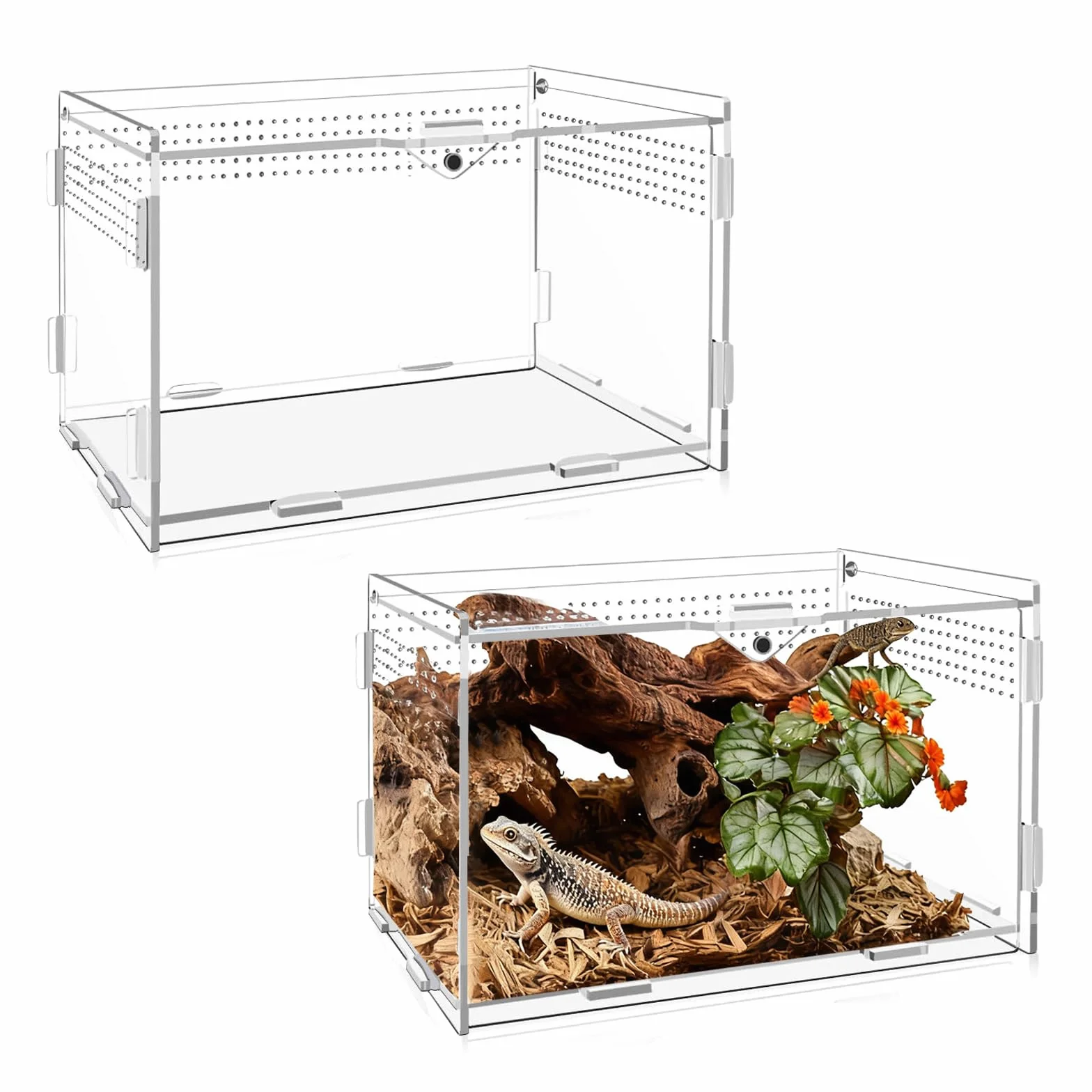 Terrario Acrilico, 20 x 12 x 12 cm Terrario per Rettili Acrilico, Trasparente Piccolo con Fori per l'Aria Teca per Geco, per Ragni, Criceti Contenitore per l'Alimentazione Degli Insetti