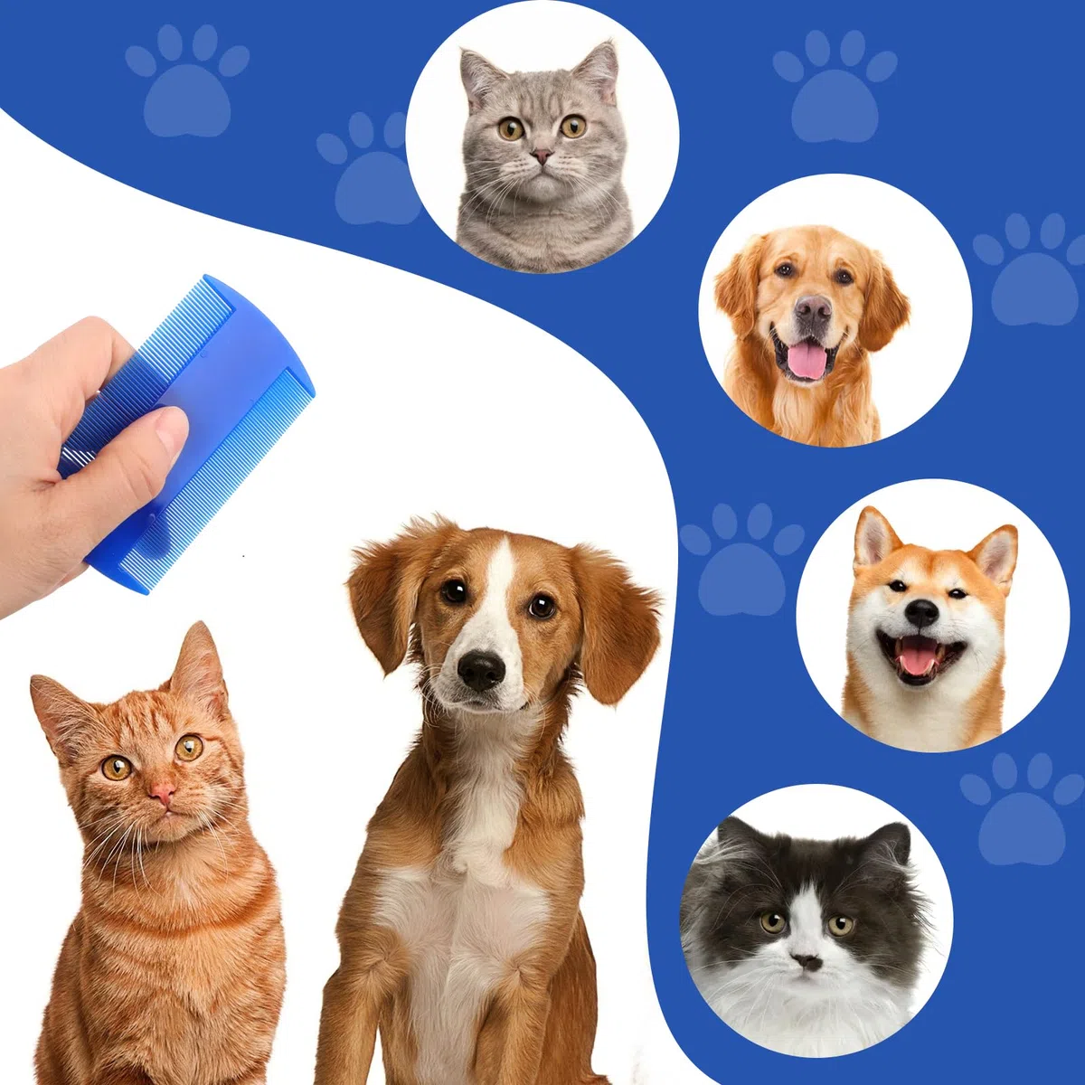 Pettine a Denti Fini per Gatti e Cani - Strumento per la Pulizia di Pidocchi, Pulci, Grovigli, Nodi, Crosta e Sporcizia