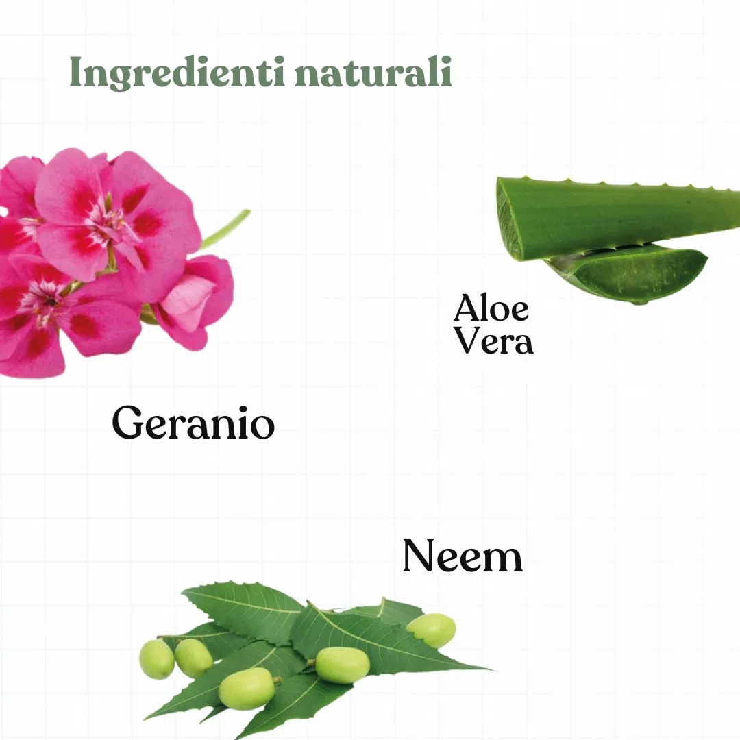 Bau Repellente Spray Zanzare, Pulci e Zecche per Cani Naturale con Olio di Neem, Repellente Zecche Spray, Antiparassitario Cani Naturale, Antizanzare per Cani con Oli Essenziali Citronella e Geranio