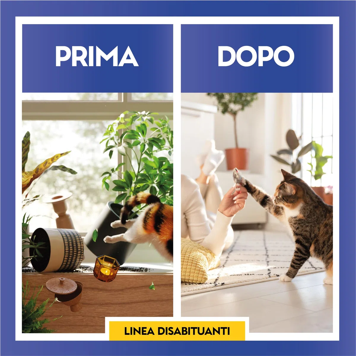 Albagarden - Disabituante Gatti E Per Cani - Repellente E Barriera Olfattiva Naturale Contro Le Cattive Abitudini Pipì - Scaccia Animali Domestici Senza Veleno Ed Ultrasuoni - Granulare X 1 Litro