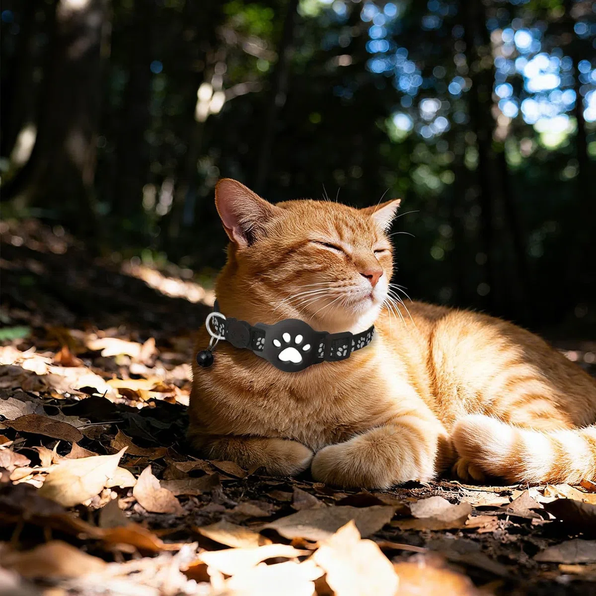 Collare Gps gatto per Gatti Senza SIM Senza Abbonamento, Localizzatore GPS per Gatto Funziona con goo- gle Find My (solo Android) IP67, Batteria 360+ Giorni (Nero)