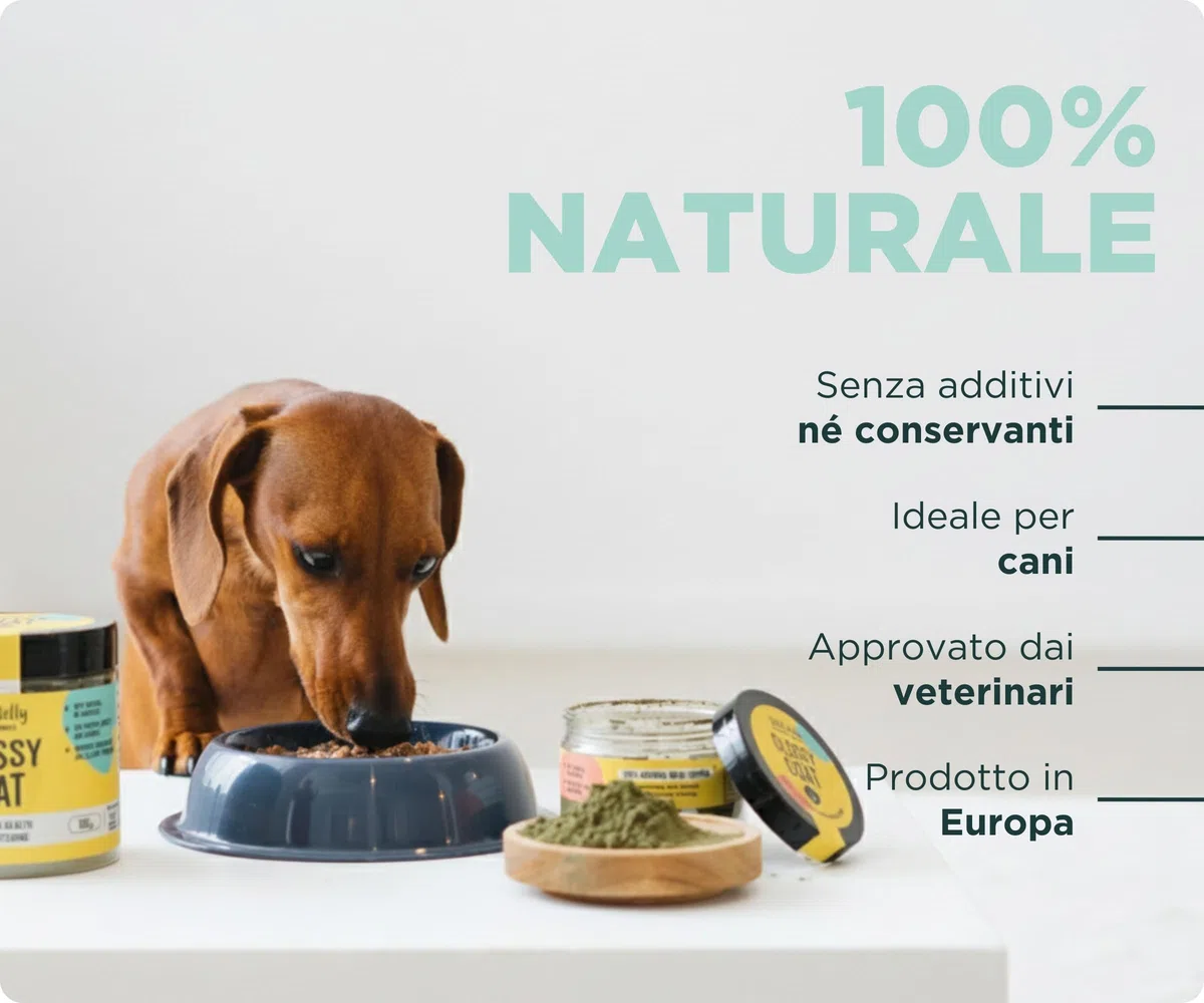 Wolf Belly - Probiotici Dermatite Cane 100% Naturale (180 g) con Lievito di Birra, Spirulina e Alga Ascophyllum | Meno Prurito e Caduta | Pelo Forte e Brillante | Polvere - Prodotto in Europa