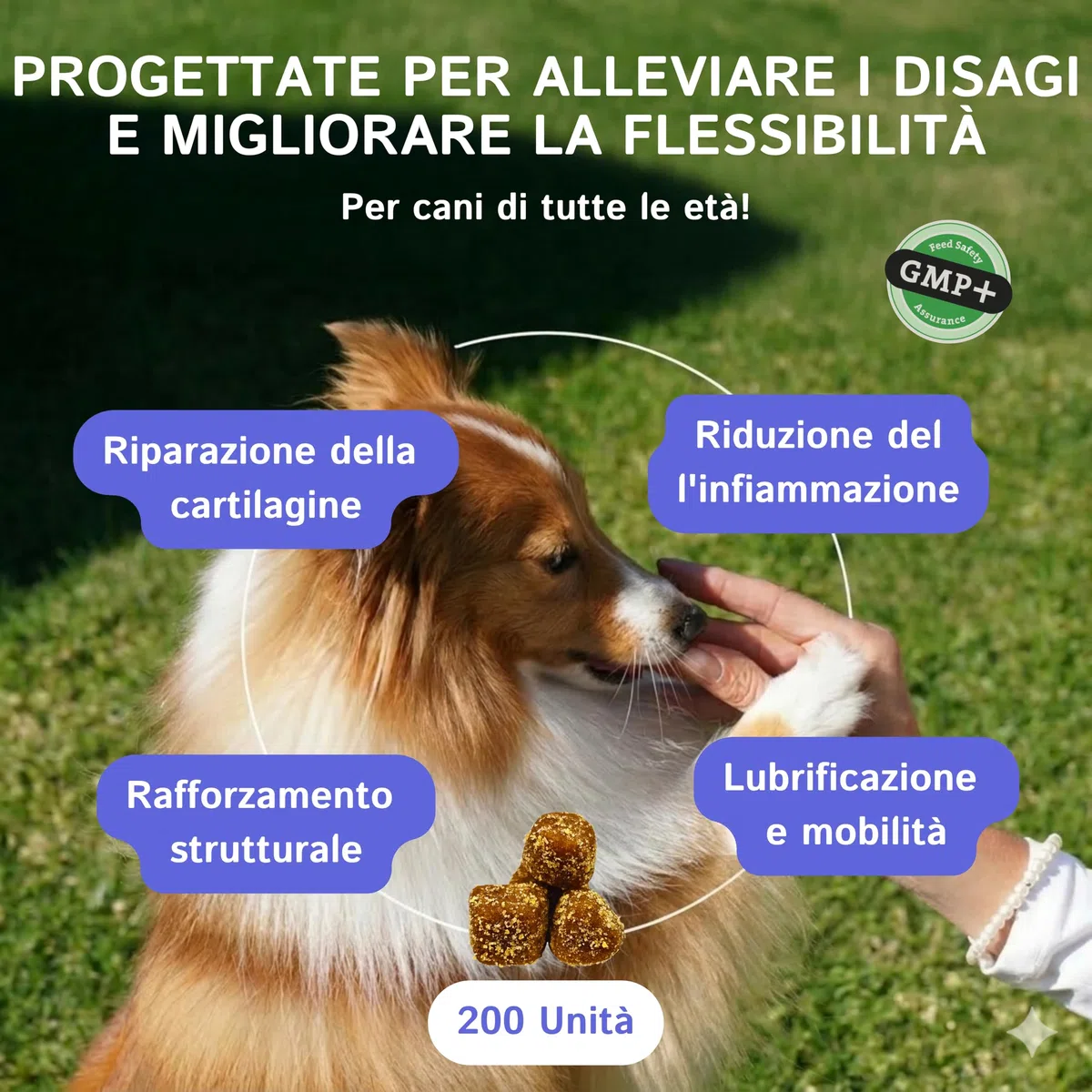 Condroprotettore Per Cani Prodotto In Europa 200 Soft Chews Integratore 100% Naturale Curcuma Acido Ialuronico Cozza Verde MSM Glucosamina Condroitina Salmone Collagene | Supporto Articolazioni Cane