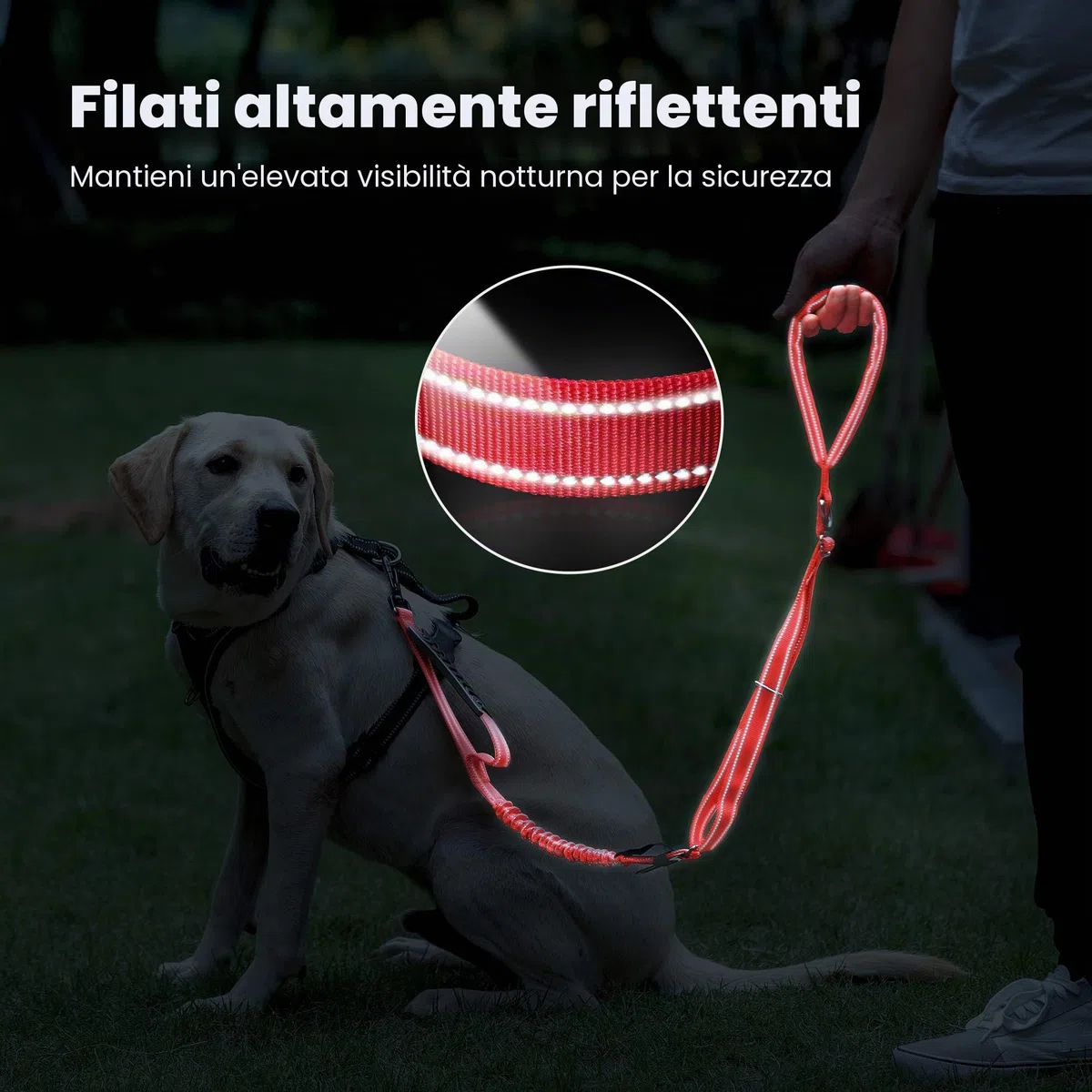Iokheira Guinzaglio per Cani, Lunghezza Regolabile istantaneamente 1/1.5m, guinzaglio Multifunzionale Riflettente con moschettone in Girevole Resistente per Cani di Taglia Media e Grande
