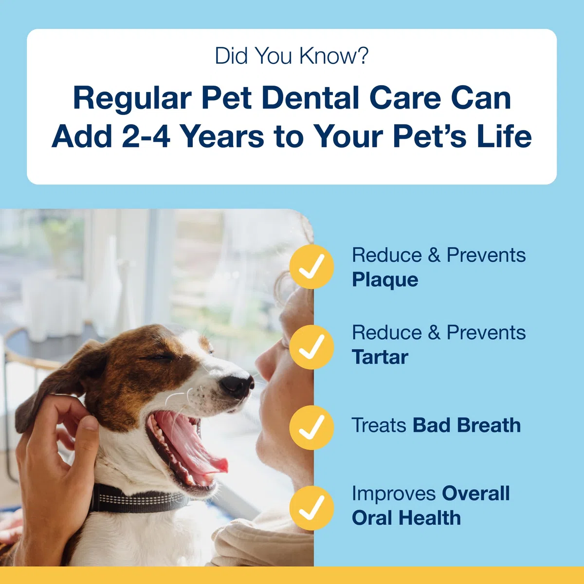 ProDen PlaqueOff Rimuovi Tartaro e Alito Cattivo 100% Naturale per Cani – Polvere Dentale da 60g con 13 Ossetti Vegetali – Confezione per Denti Sani e Alito Fresco