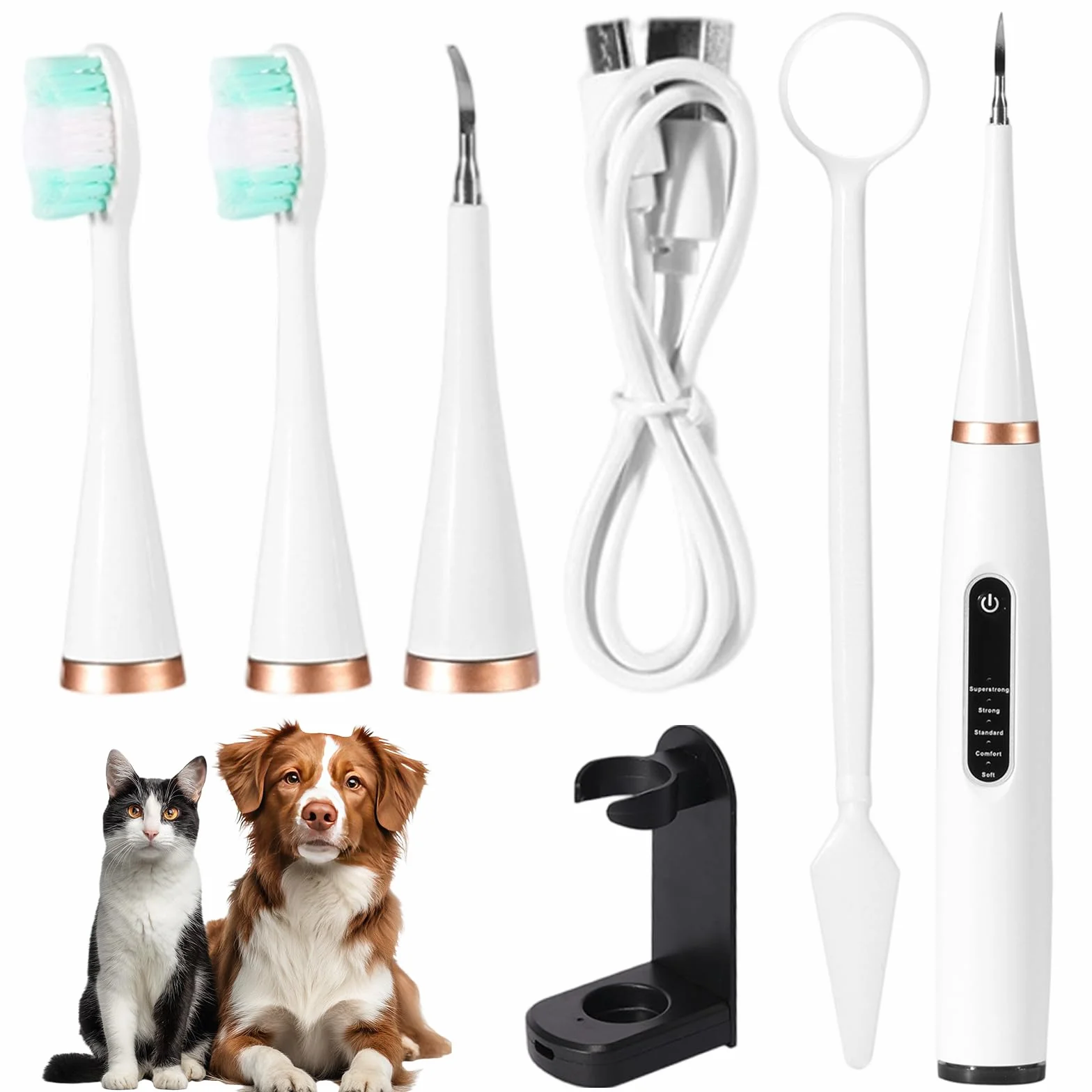Rimozione Tartaro per Cani e Gatti con Spazzolino Ultrasuoni Professionale, Pulitore Dentale a 5 Modalità e Testine W, Impermeabile IPX6, Ricarica USB-C, Autonomia 1 Mese