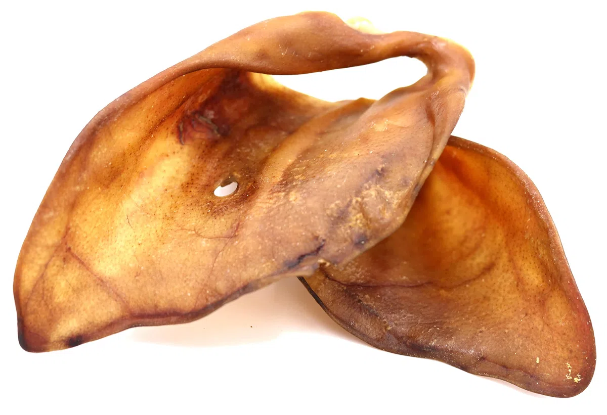 Orecchie di maiale essiccate XXL per cani, 500 g, di produzione tedesca, articolo da masticare per grandi e piccini
