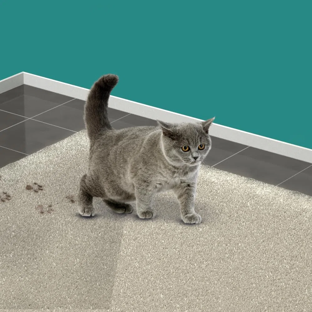 HG Spray smacchiatore per gatti e animali domestici, rimuove le macchie di tessuti e tappeti, neutralizza l'urina di gatto e altri cattivi odori, deodorante e deodorante spray Oxi Action per animali