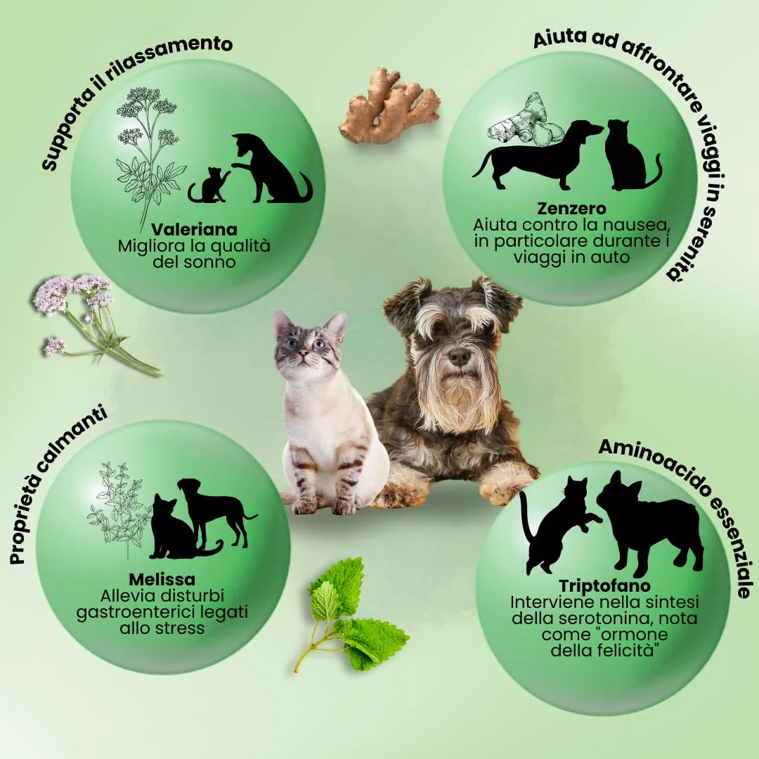 CAMON | AEquilibriAVet Alimento Complementare per Cani e Gatti con Melissa, Valeriana, Zenzero e Triptofano, Azione Calmante e Rilassante, 60 Compresse da 1gr