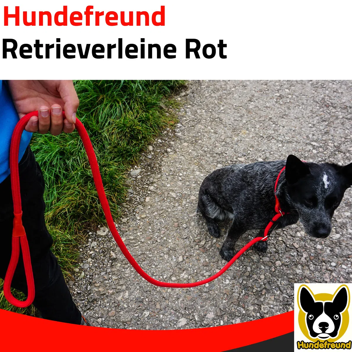 Guinzaglio Retriever | Guinzaglio e collare in un unico prodotto | 200 cm di guinzaglio e collare due in uno | Guinzaglio-collare rosso con anello per evitare costrizioni al collo di Hundefreund
