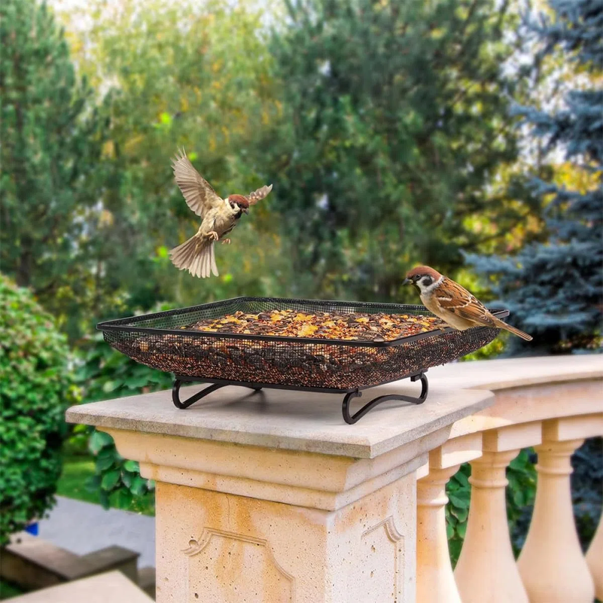 DOITOOL Mangiatoia Uccelli Selvatici da Terra in Acciaio Inossidabile Resistente alle Intemperie Vassoio Quadrato in Metallo per Giardino Esterno e Cortile