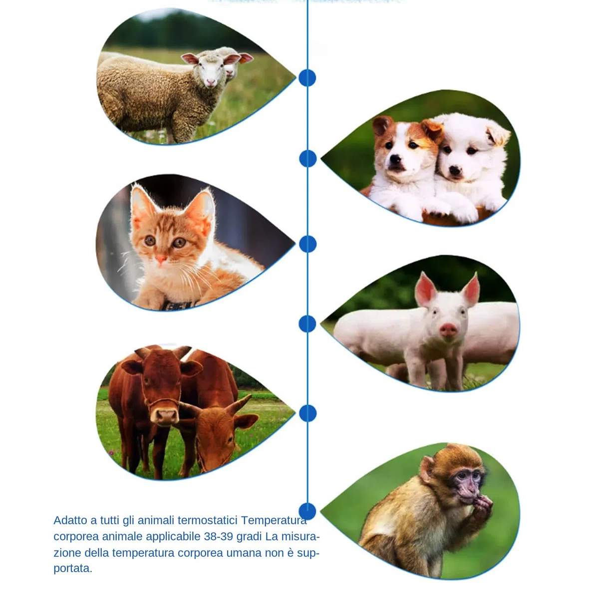 Termometri per animali per gatti, Termometri per orecchie per cani - Forniture tecnologiche per cani | per cuccioli, dispositivo di rilevamento della febbre, forniture per animali domestici