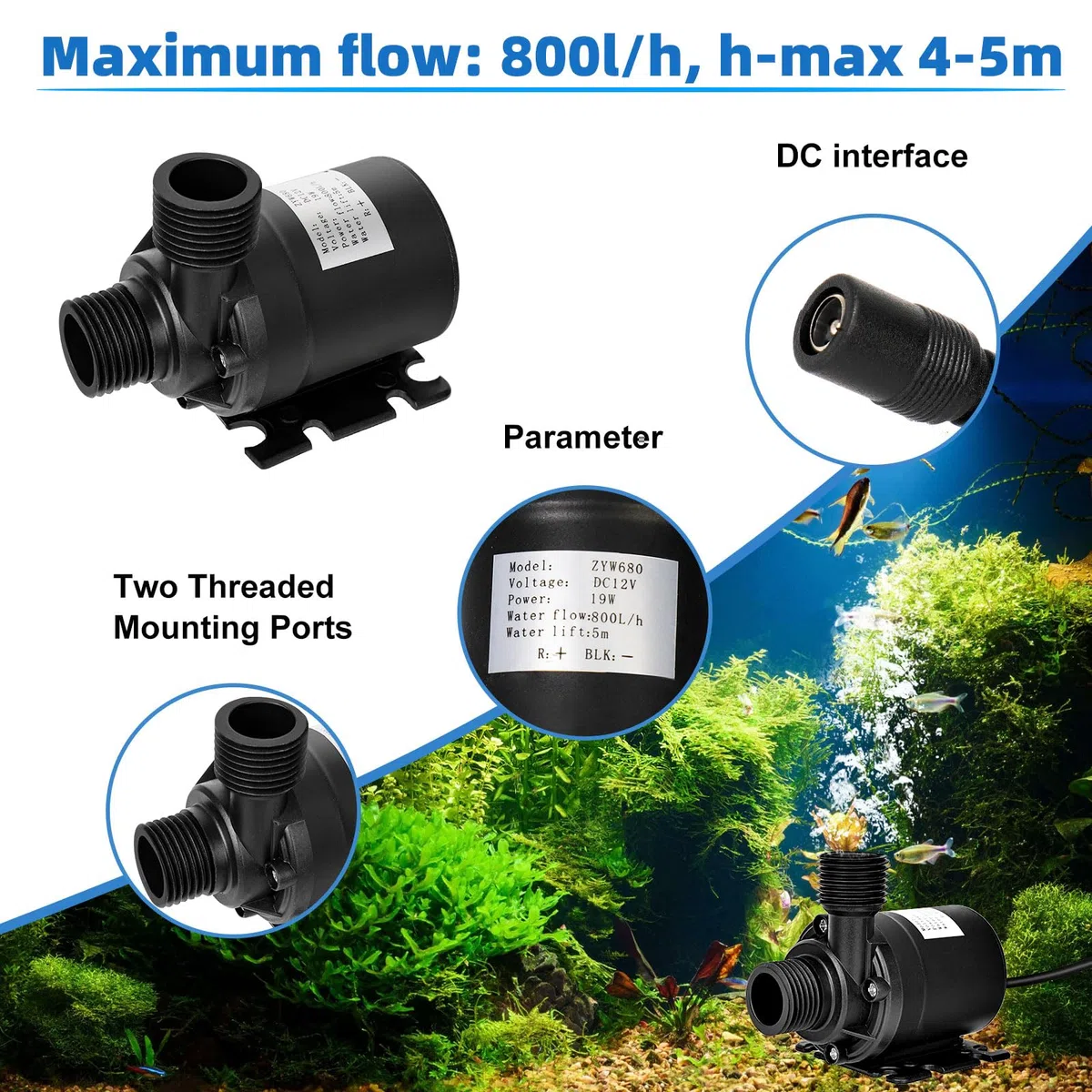 Mini Pompa Acqua 12V, Pompa Acquario 800L/H 5M, DC 12V Pompe per Acquario, Ultra Silenzioso, per Acquario, Stagno, Fontana, Idroponica di Circolazione
