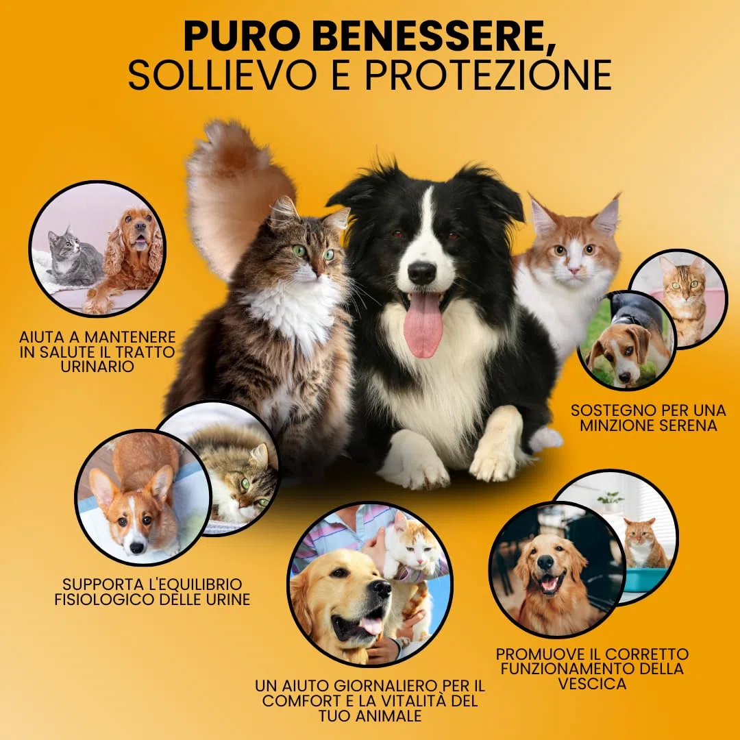 CAMON | StruviPet Plus, Alimento Complementare Dietetico per Cani e Gatti per il Benessere delle Vie Urinarie, 60 Compresse da 1g